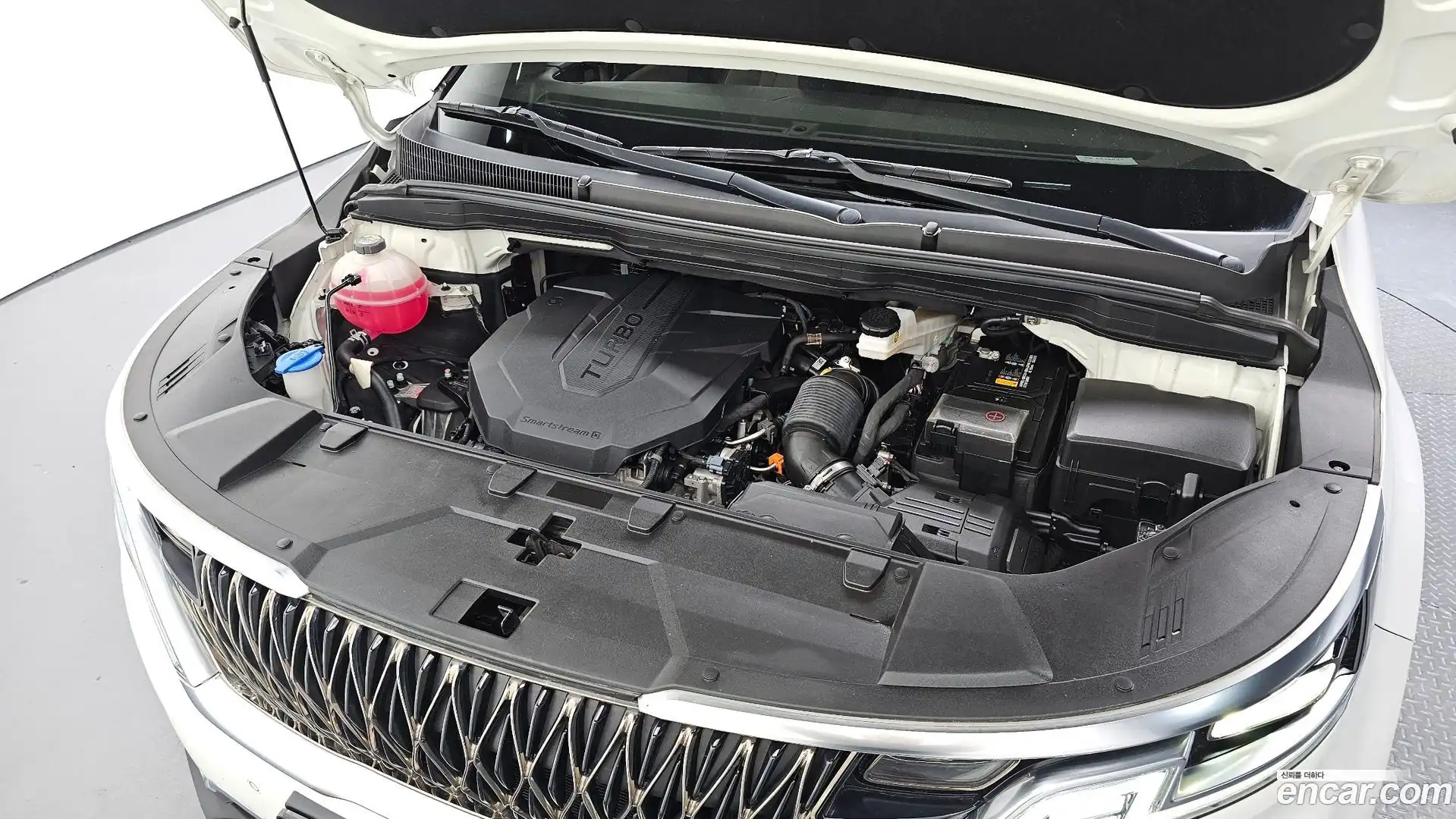 Canival Kia 2020.8-OUTER-006