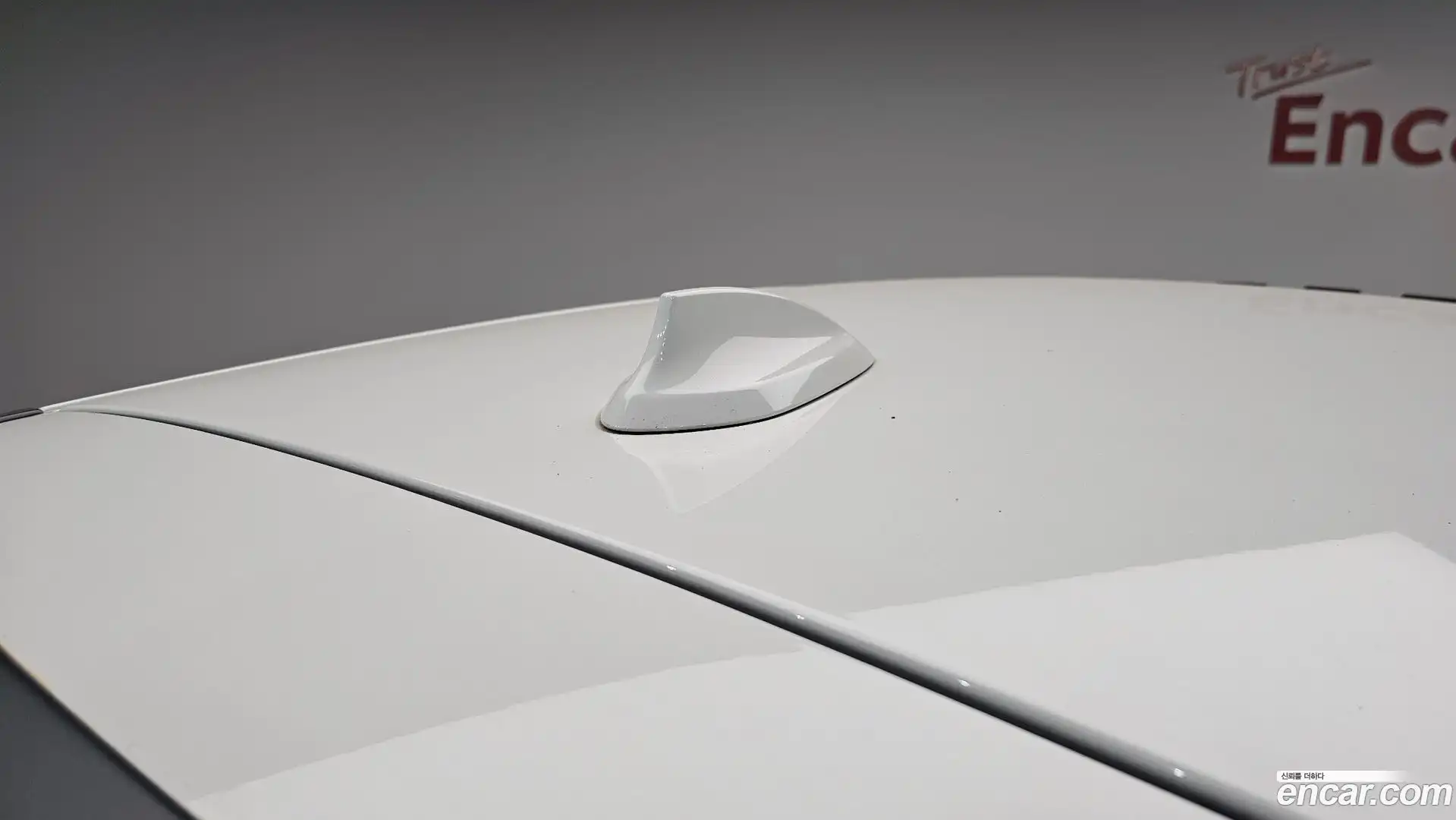 1-Series BMW 2019.6-OPTION-045