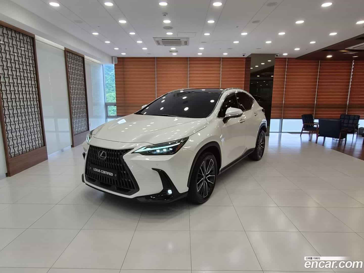 NX Lexus 2022.6-OUTER-001