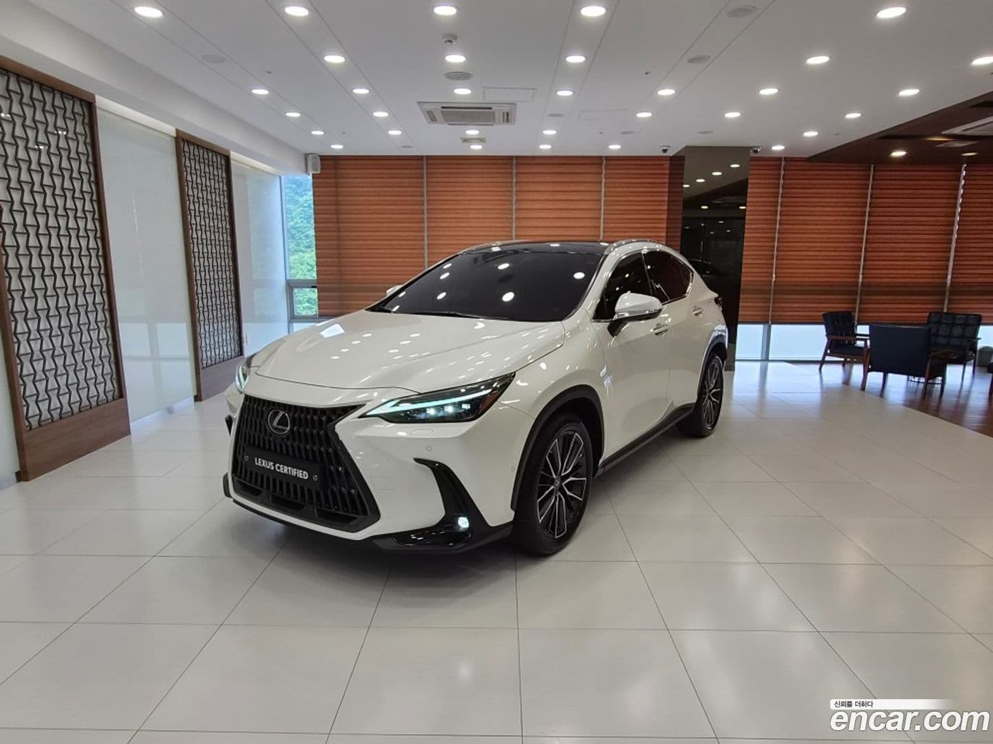 Main__Slider__Photo:NX Lexus 2022.6-0
