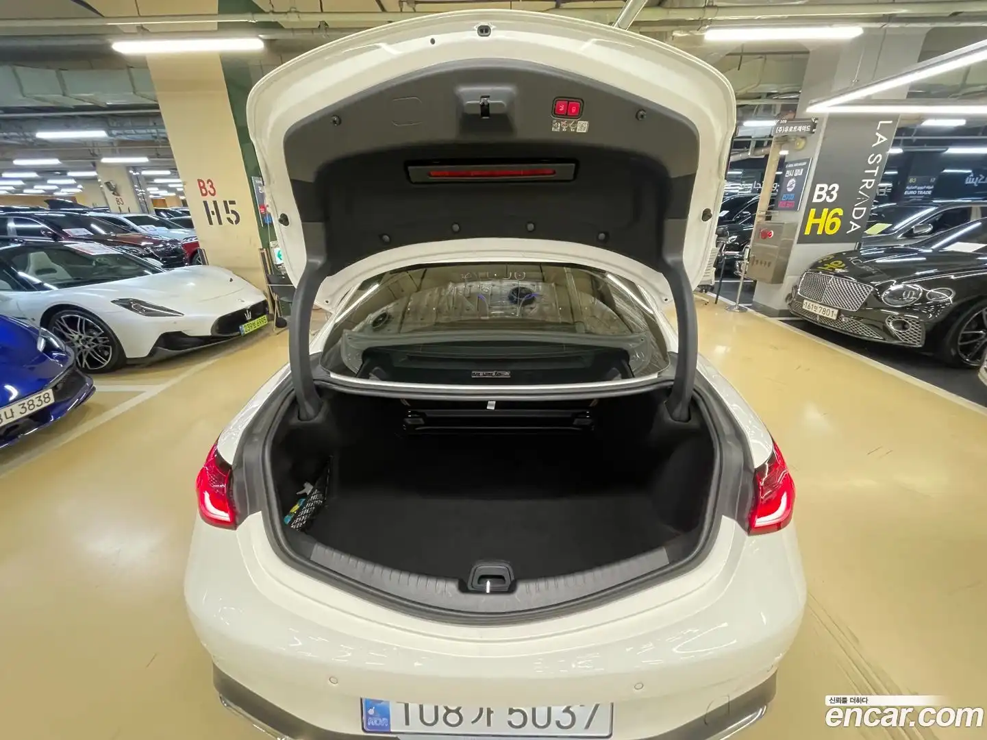 CLE-Class Mercedes-Benz 2024.8-OPTION-017