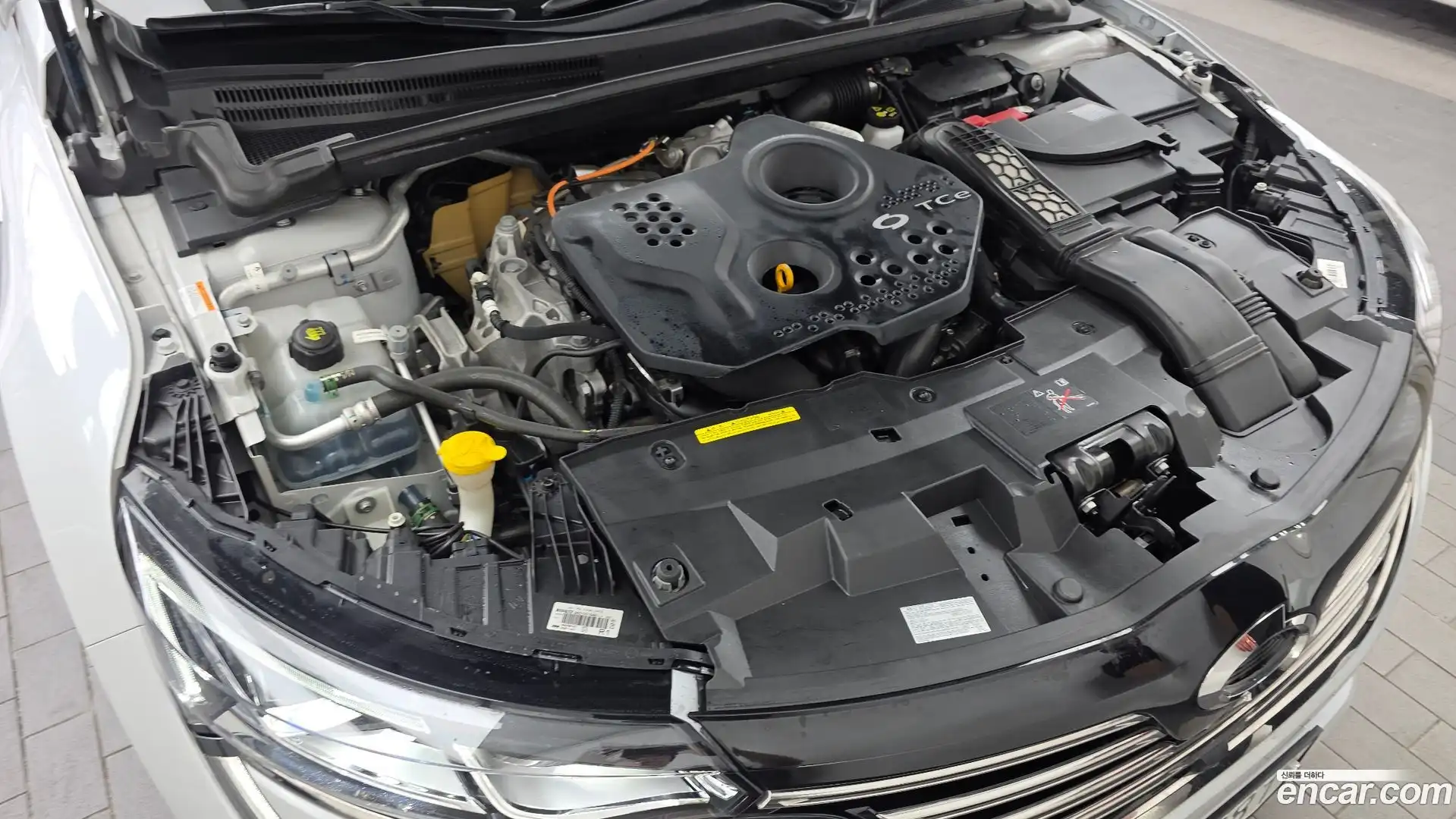 SM6 Renault Korea 2019.3-OUTER-006