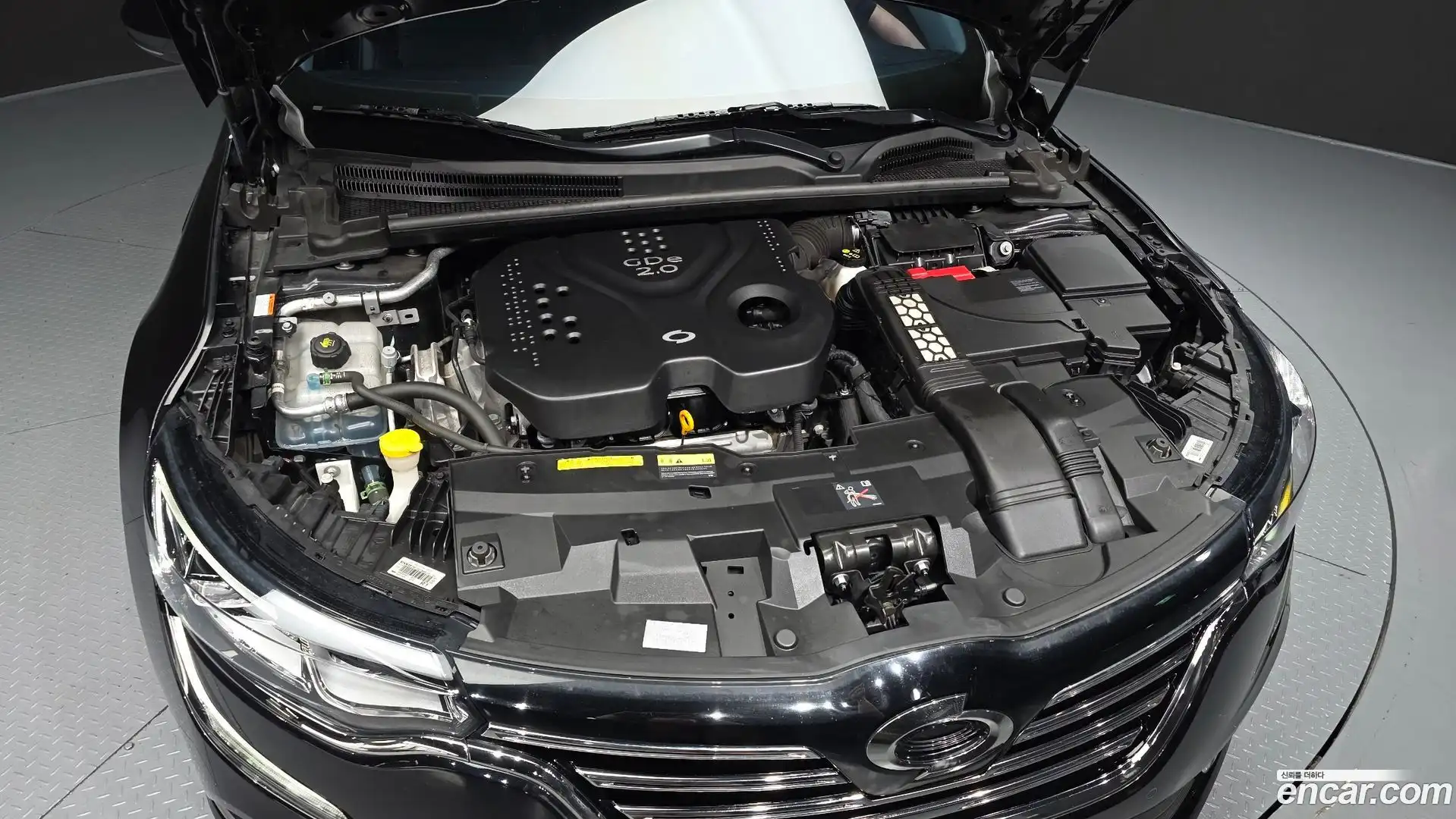 SM6 Renault Korea 2019.2-OUTER-006