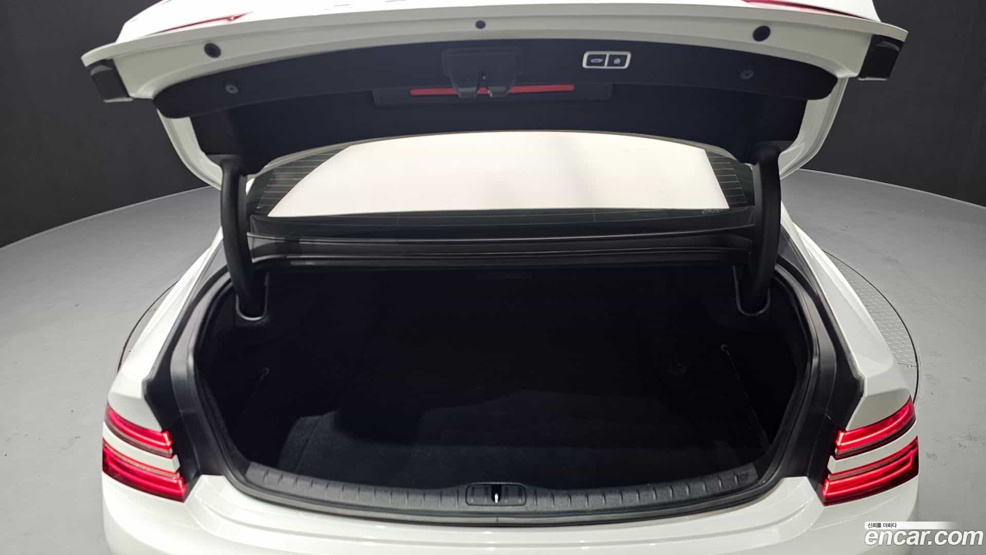 G80 Genesis 2021.0-OPTION-024