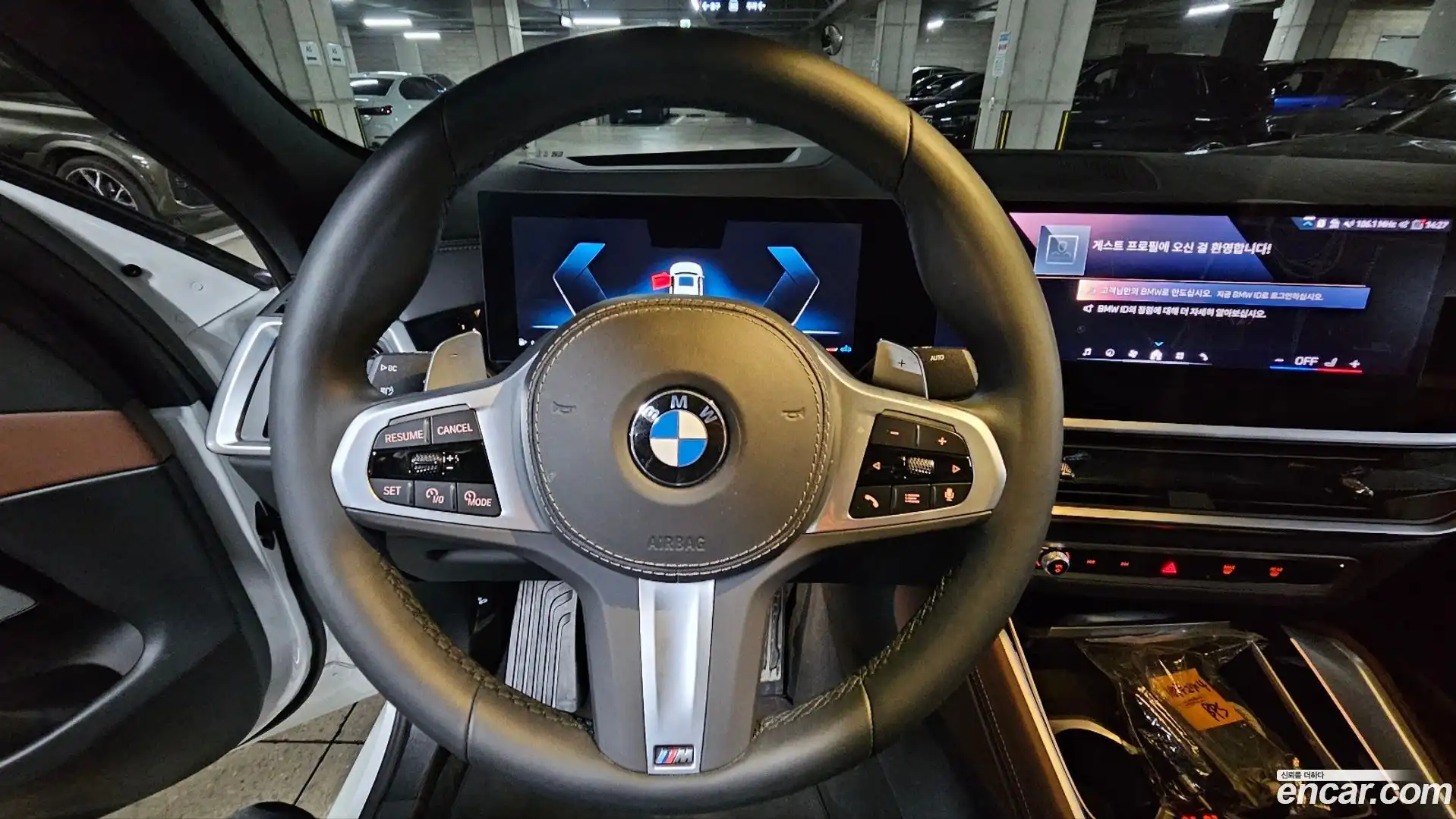 X6 BMW 2025.1-OPTION-016
