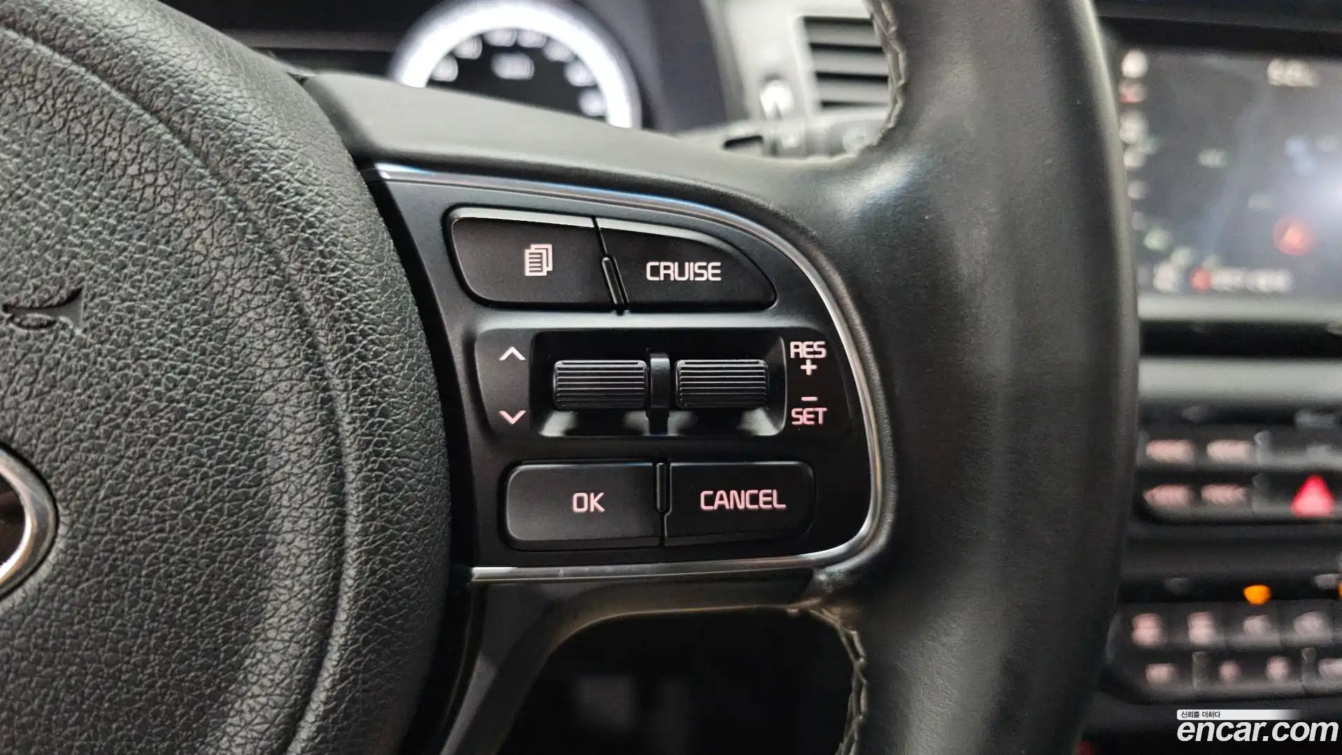 Niro Kia 2017.6-OPTION-018