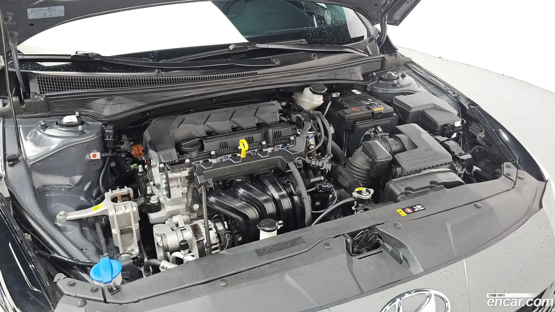 AVANTE Hyundai 2022.7-OUTER-006