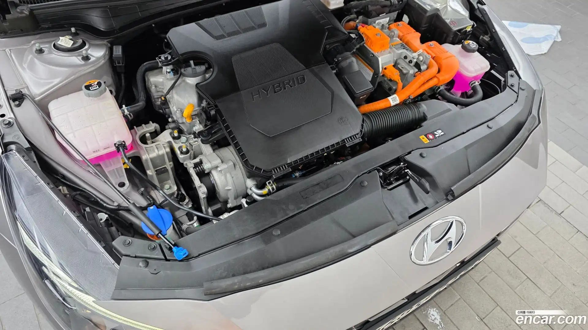 AVANTE Hyundai 2022.4-OUTER-006