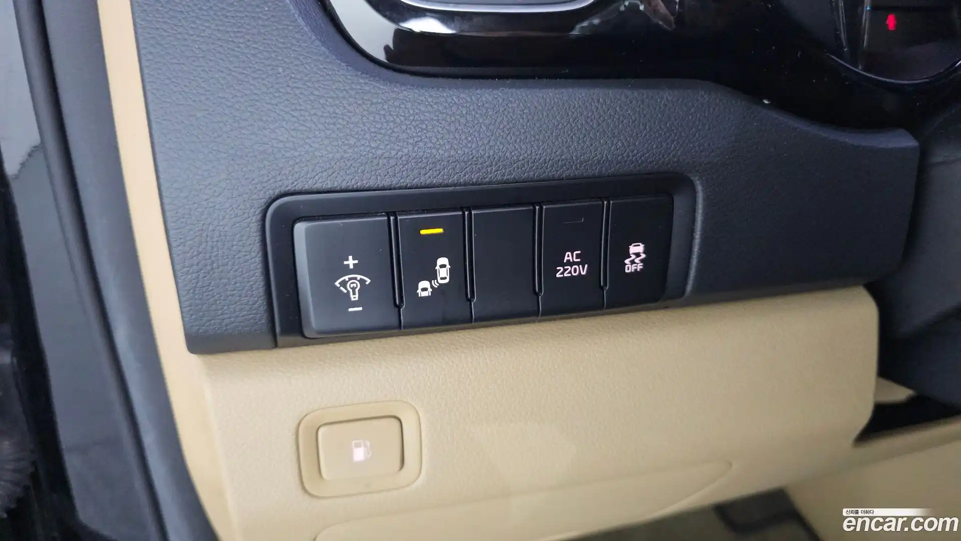 Canival Kia 2017.8-OPTION-019