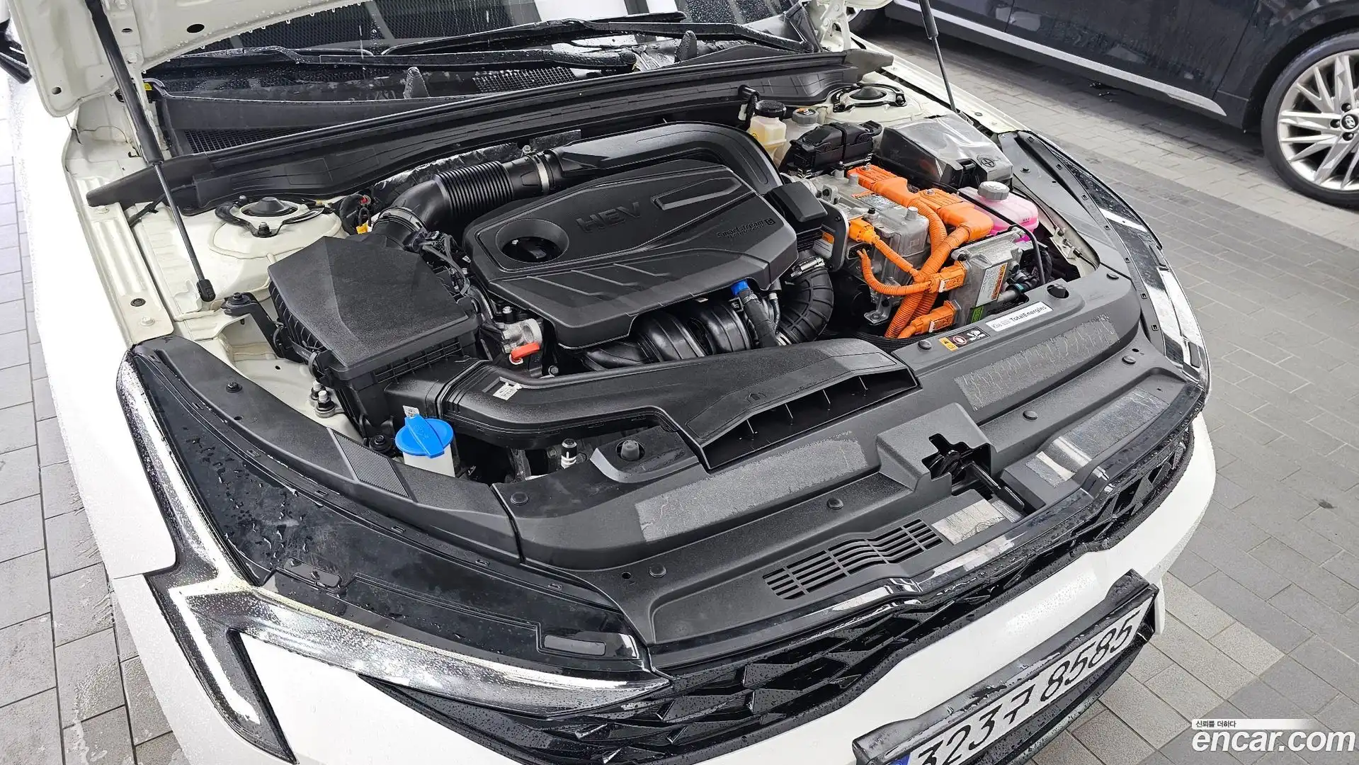 K5 Kia 2025.1-OUTER-006