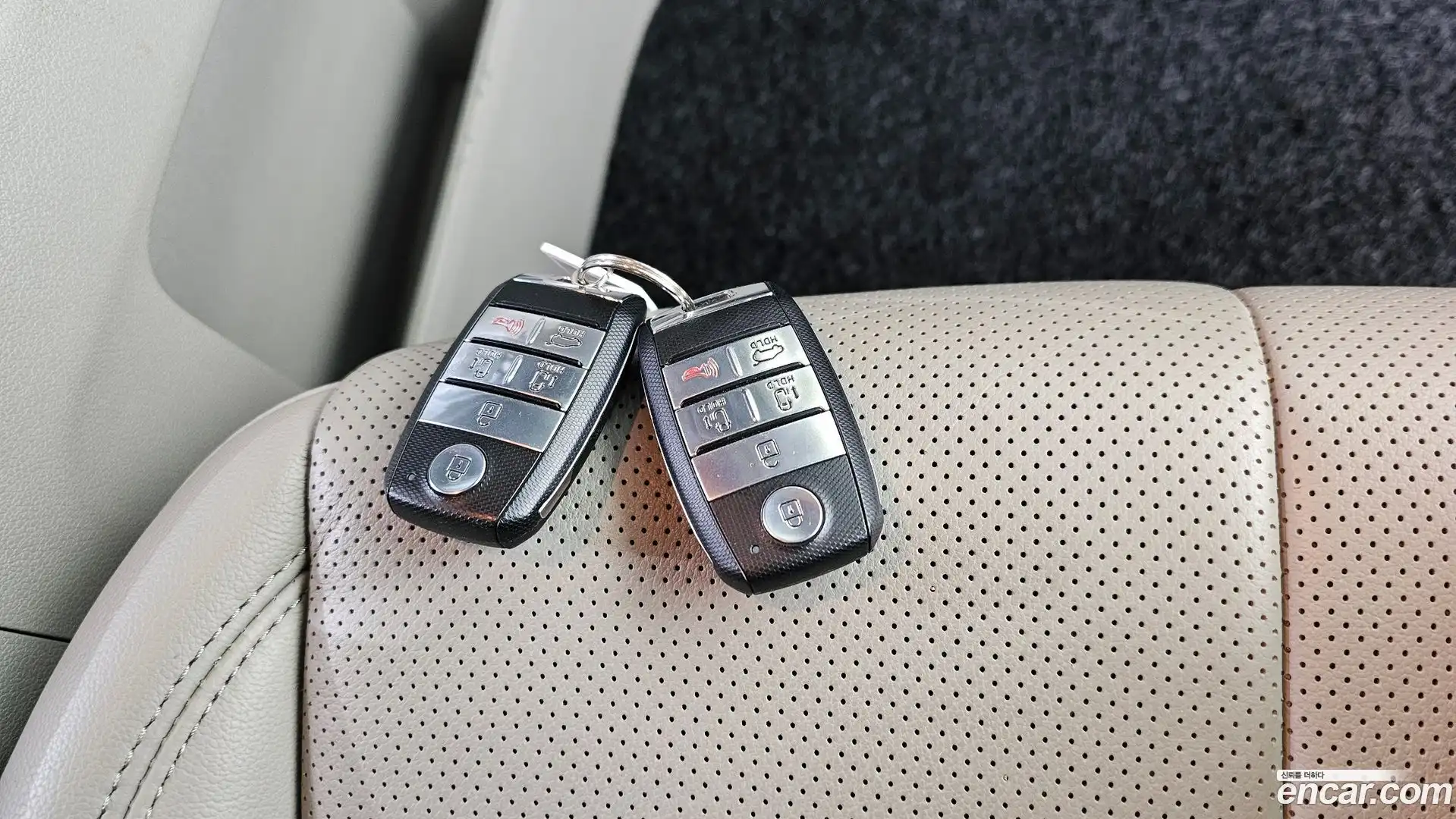 Canival Kia 2016.6-OPTION-043