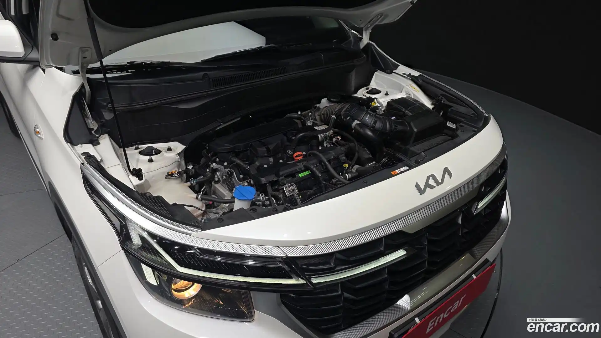 Seltos Kia 2024.6-OUTER-006