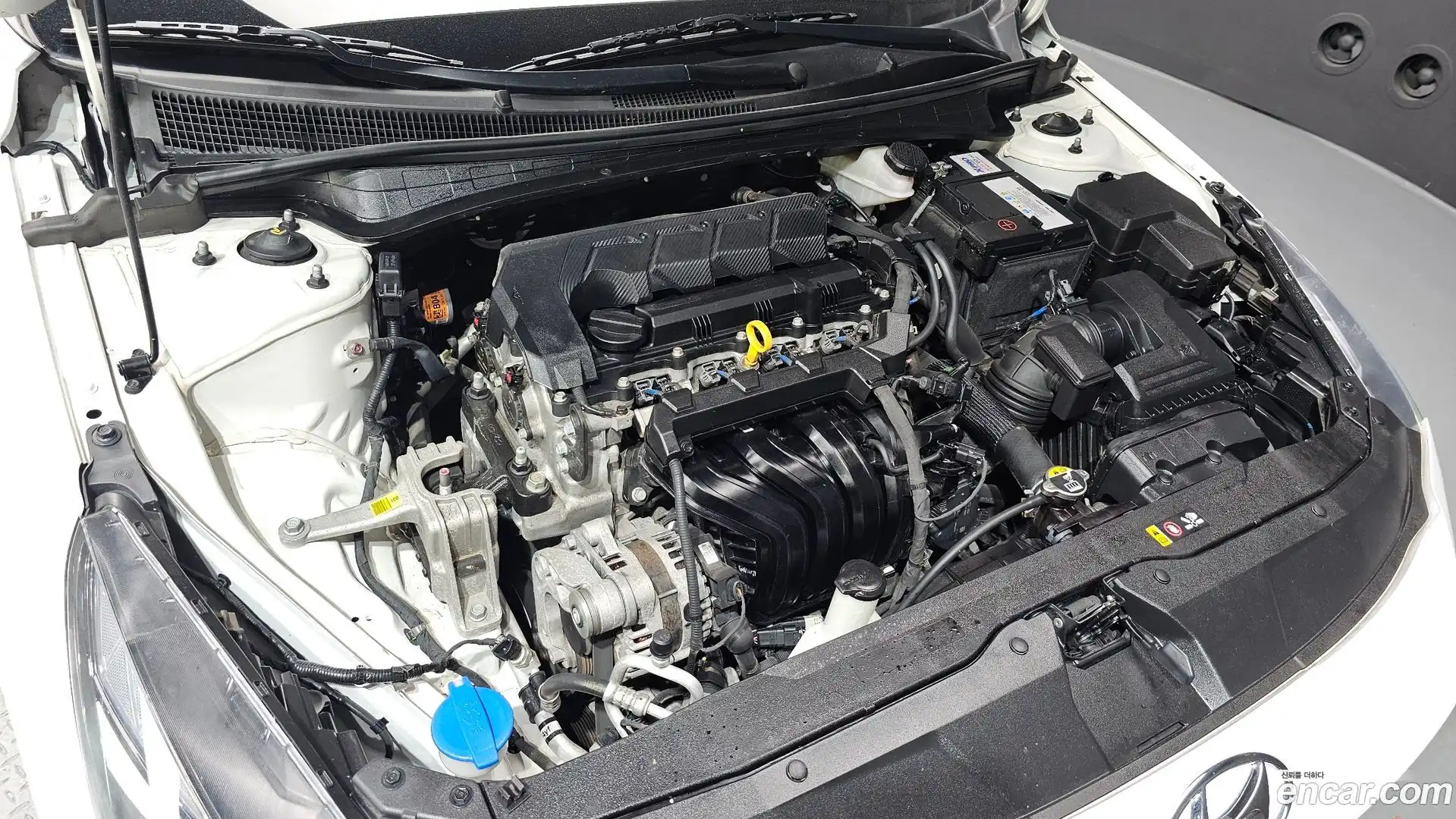 AVANTE Hyundai 2021.7-OUTER-006