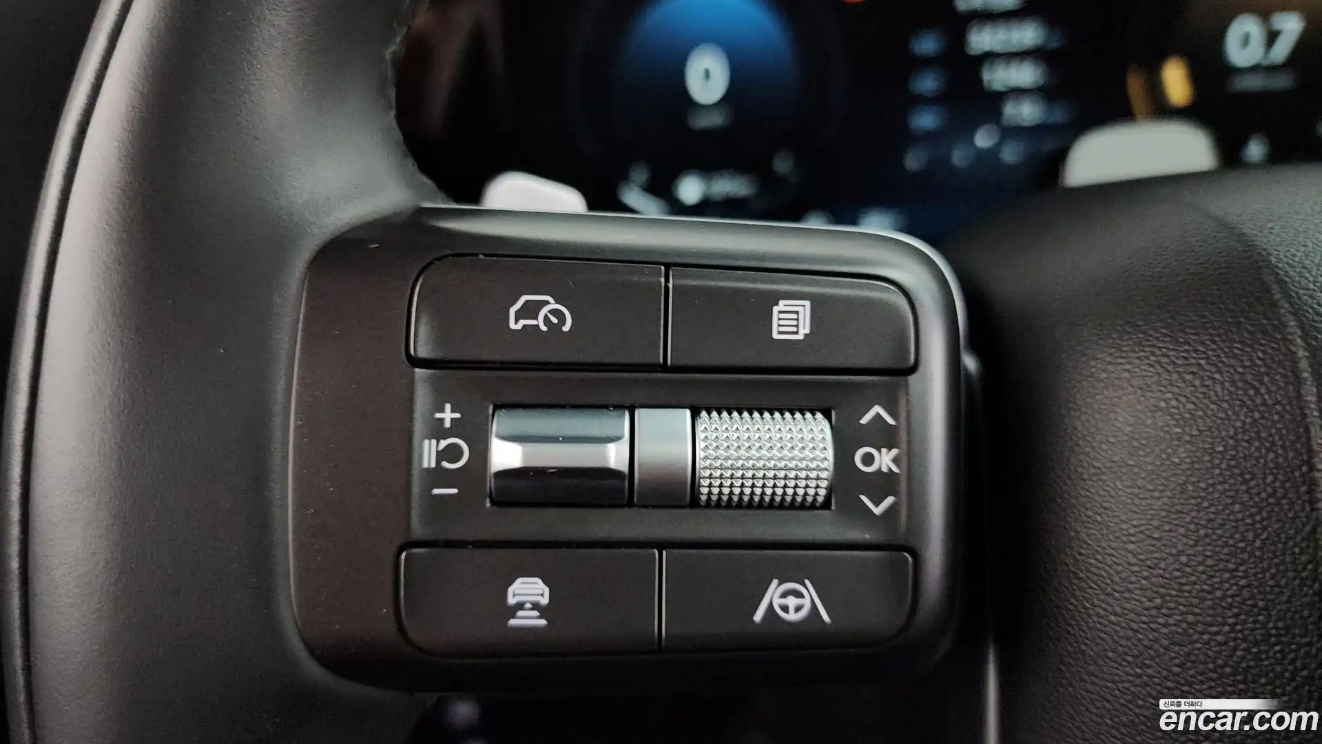 Palisade Hyundai 2025.1-OPTION-020