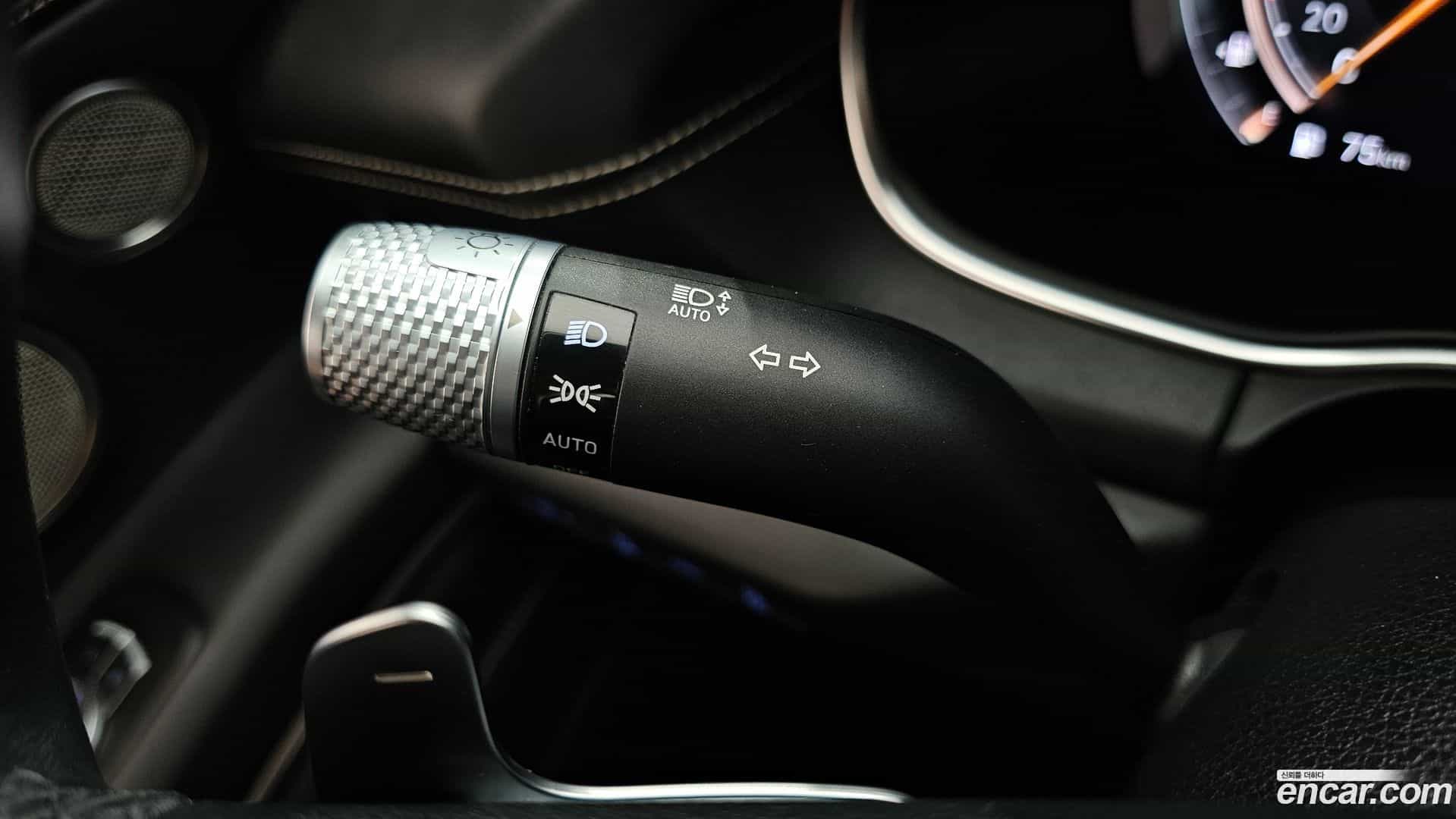 GV80 Genesis 2020.9-OPTION-043