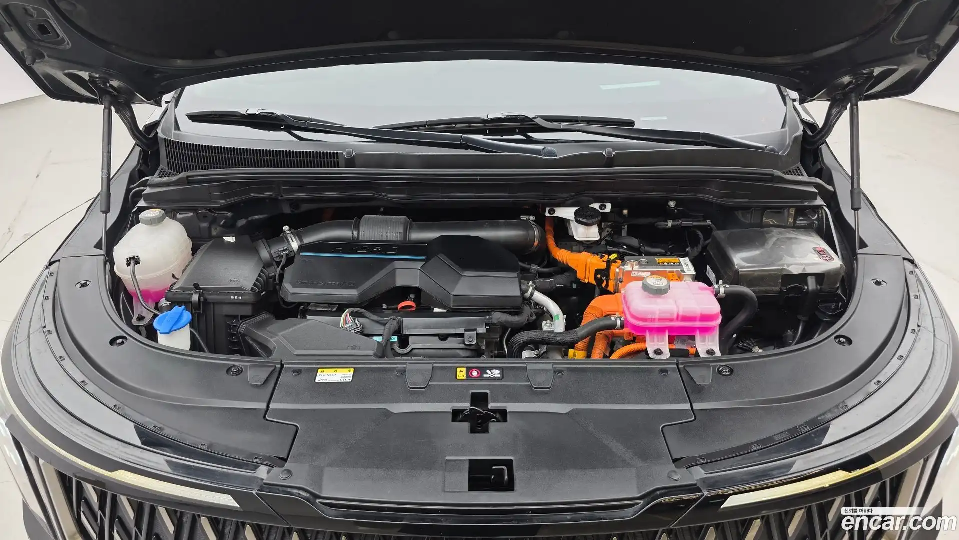 Canival Kia 2024.3-OUTER-006