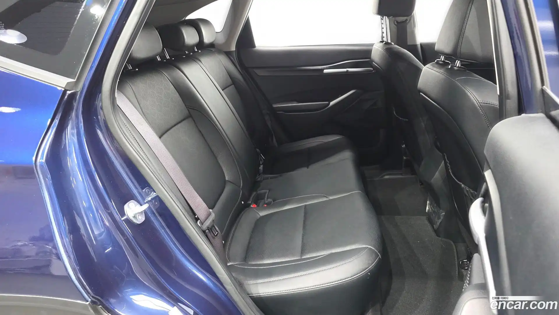 Seltos Kia 2023.5-OPTION-016