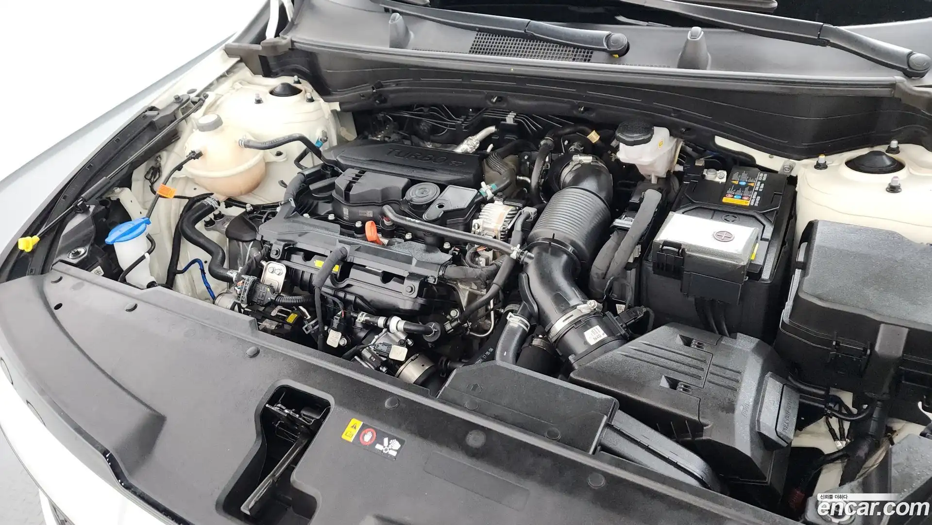 Sportage Kia 2024.6-OUTER-006