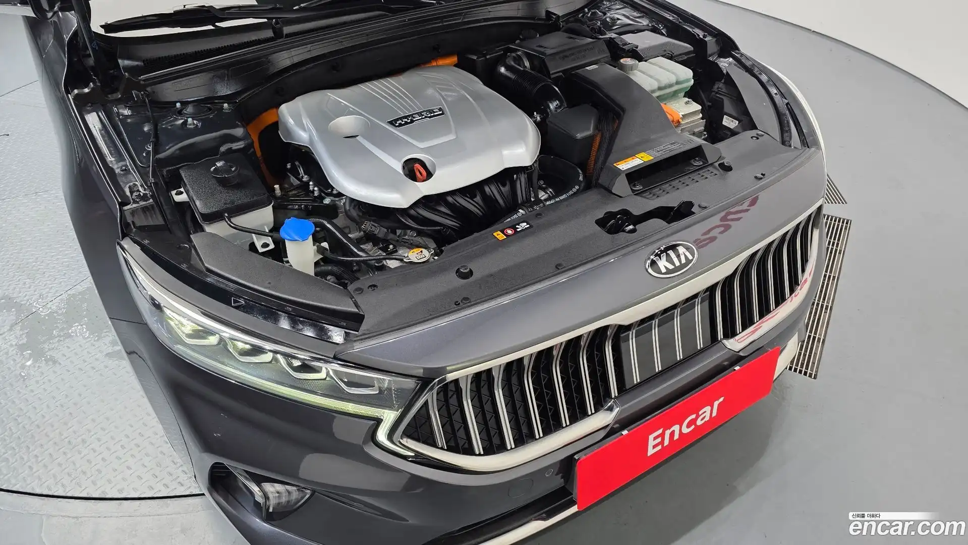 K7 Kia 2019.8-OUTER-006
