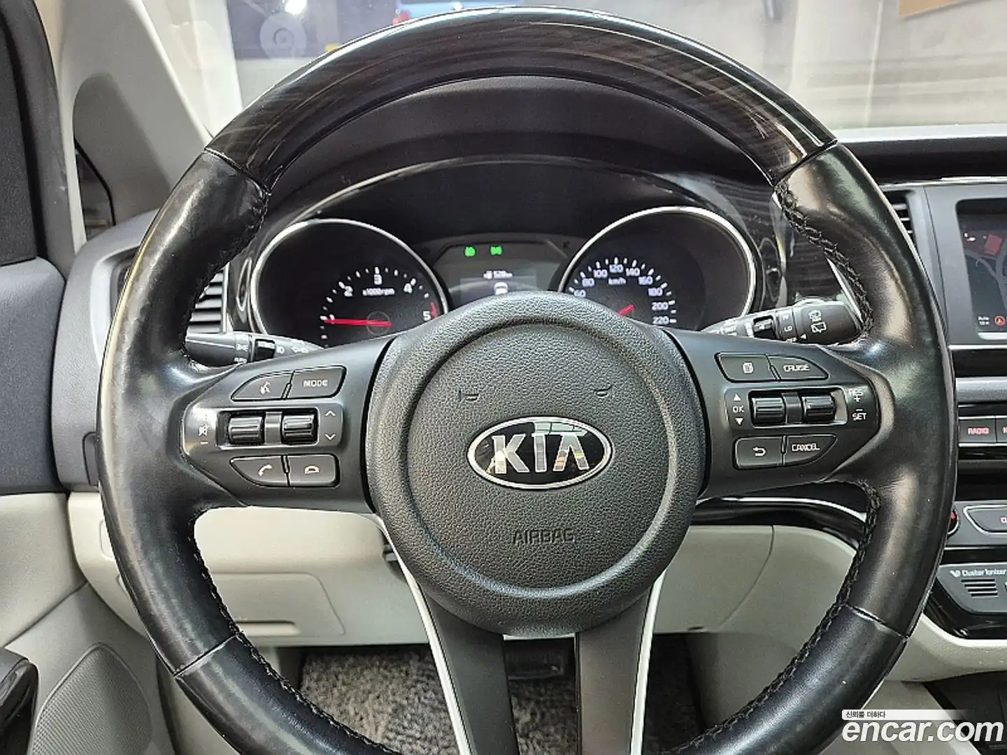Canival Kia 2018.4-OPTION-017