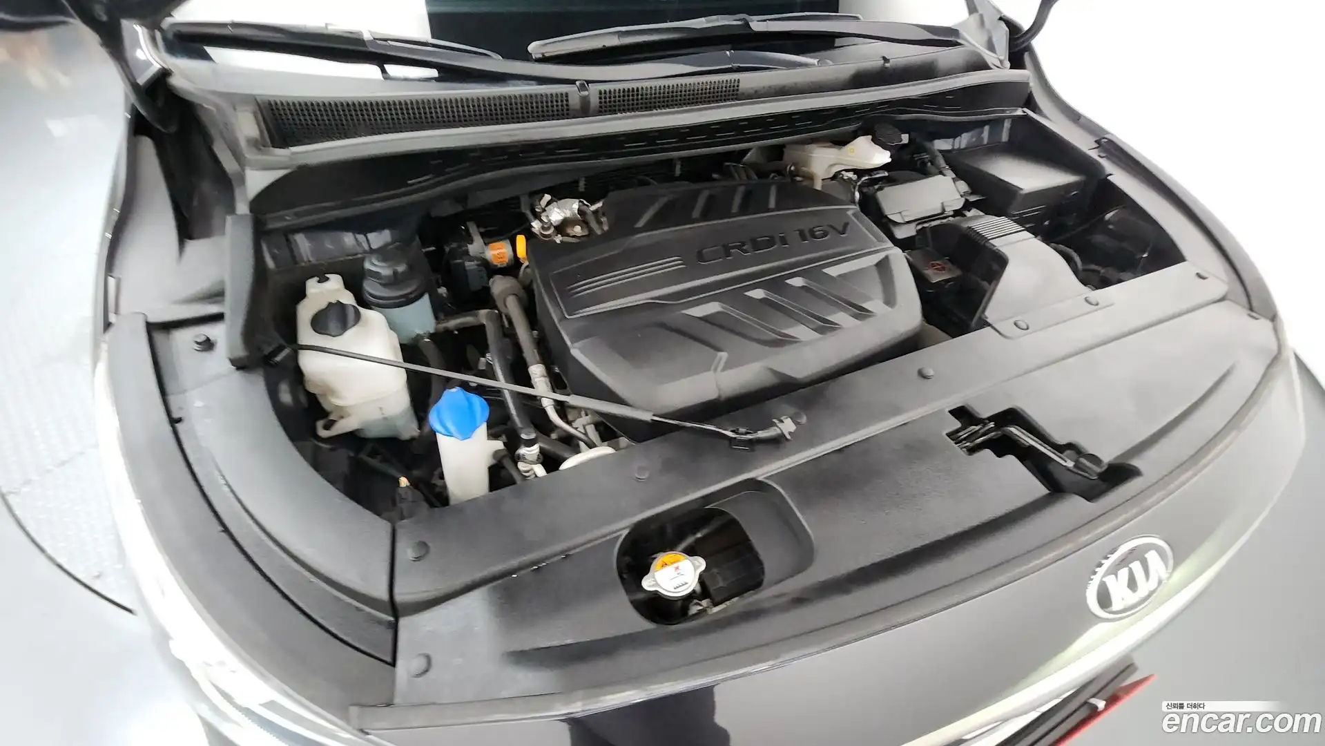 Canival Kia 2019.10-OUTER-006