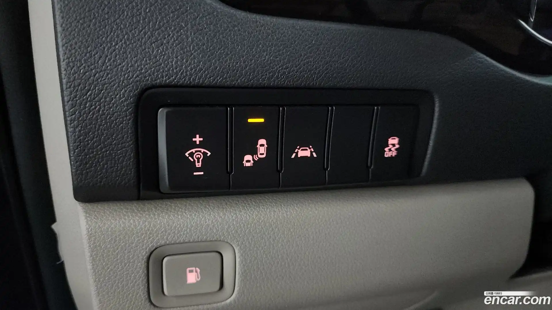 Canival Kia 2019.10-OPTION-016