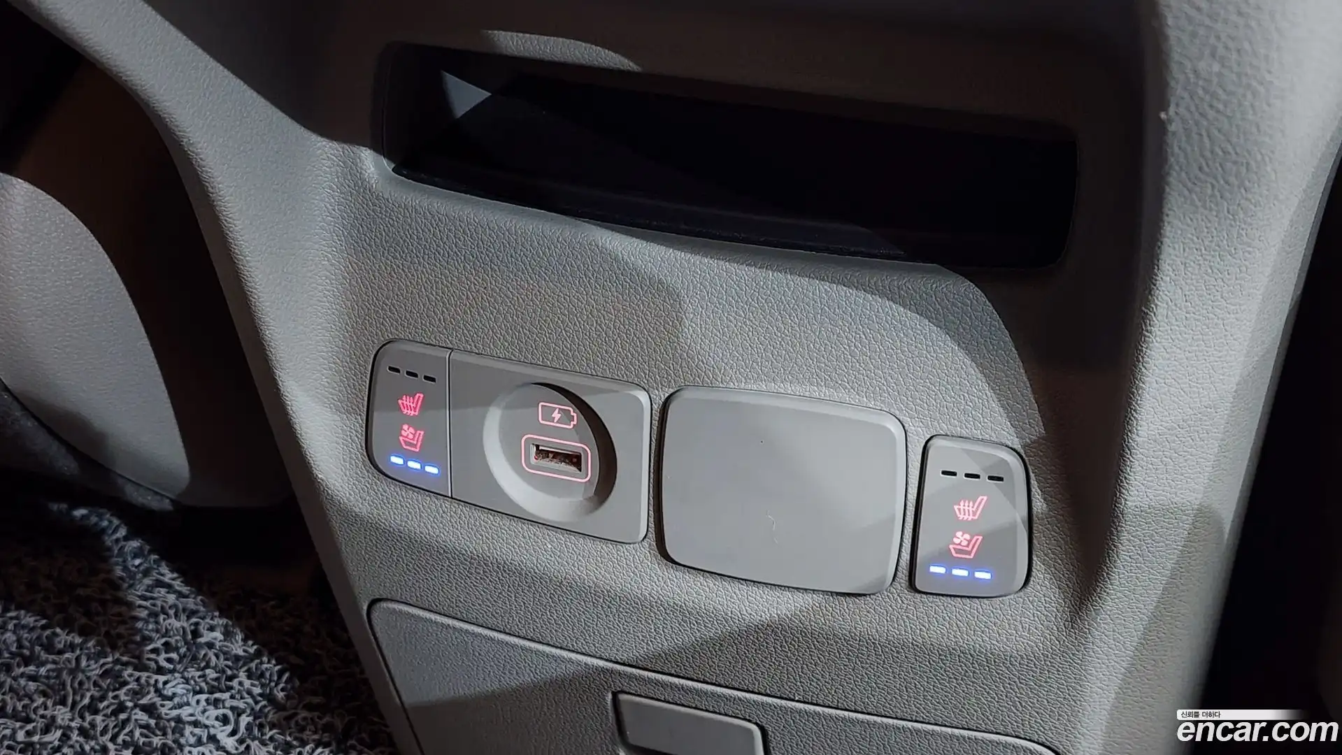 Canival Kia 2019.10-OPTION-017