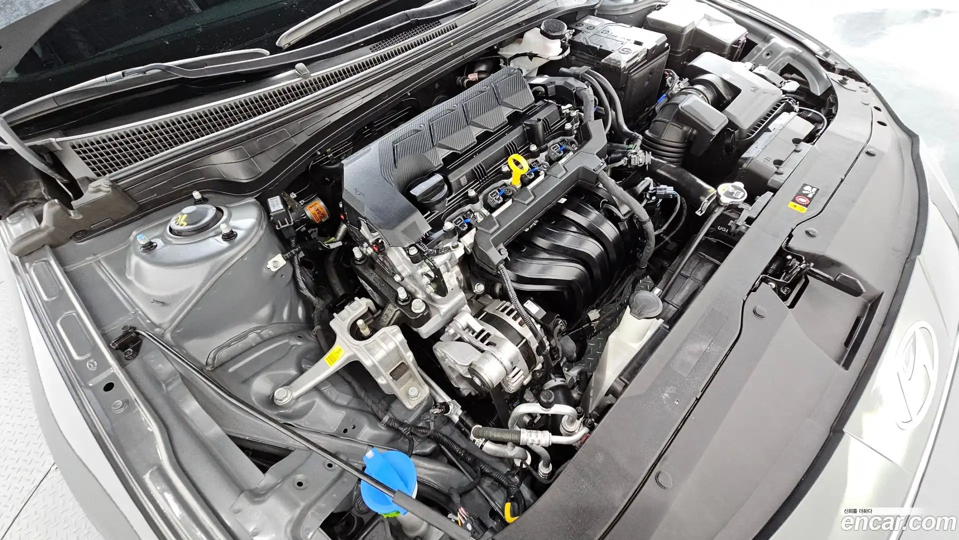 AVANTE Hyundai 2025.6-OUTER-006