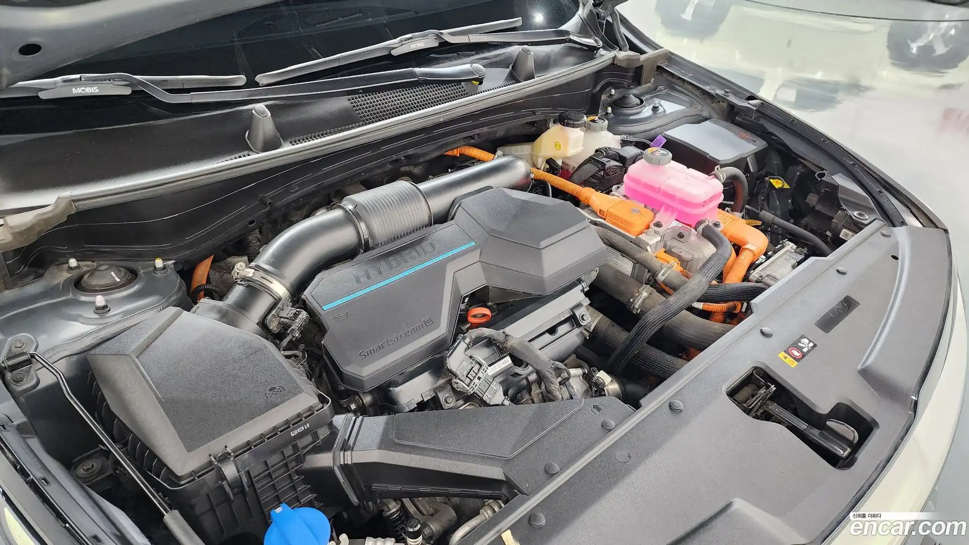 Sportage Kia 2021.8-OUTER-006