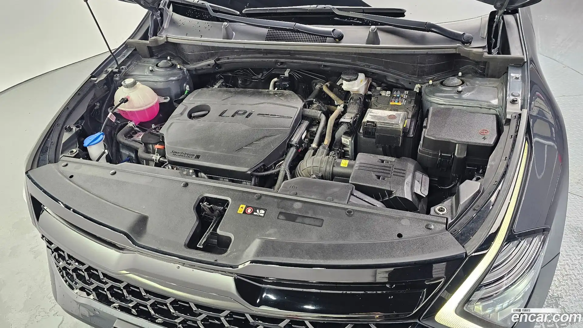 Sportage Kia 2023.11-OUTER-006