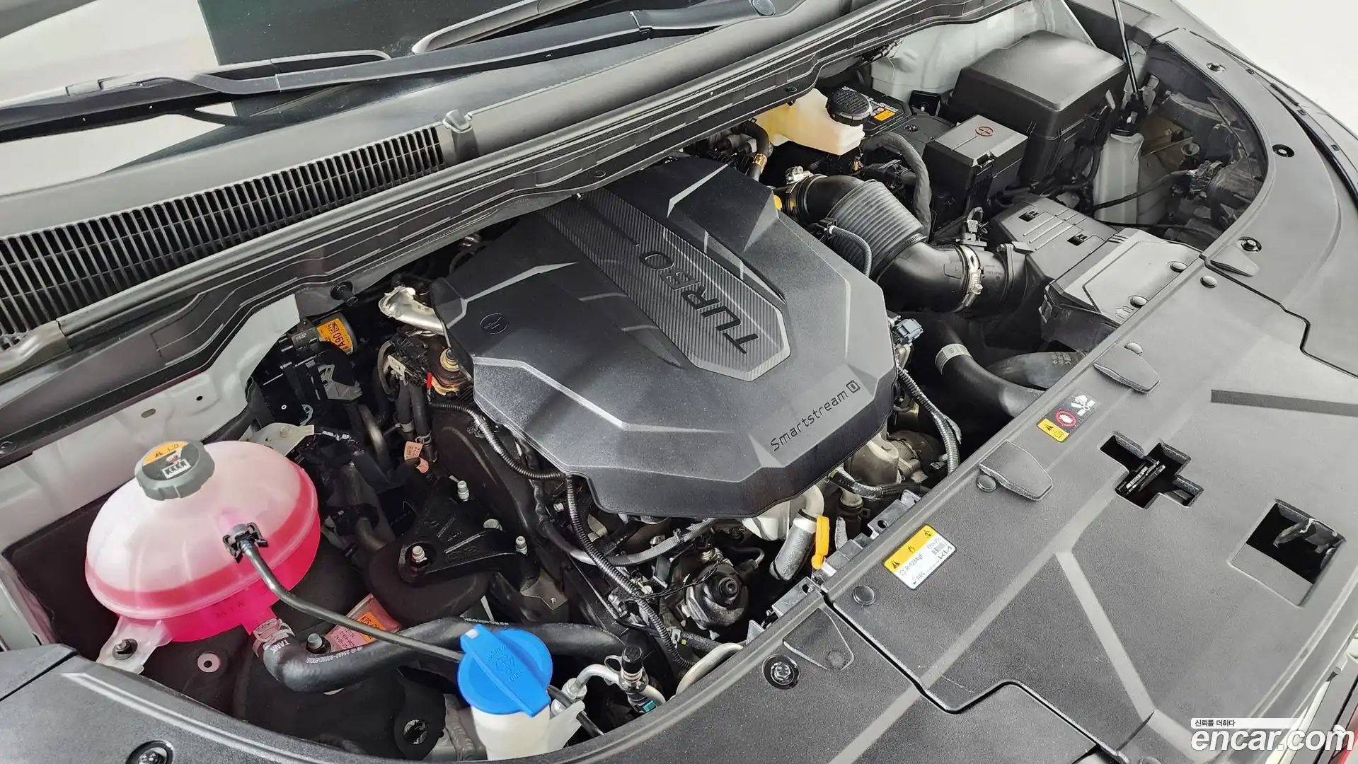 Canival Kia 2024.7-OUTER-006