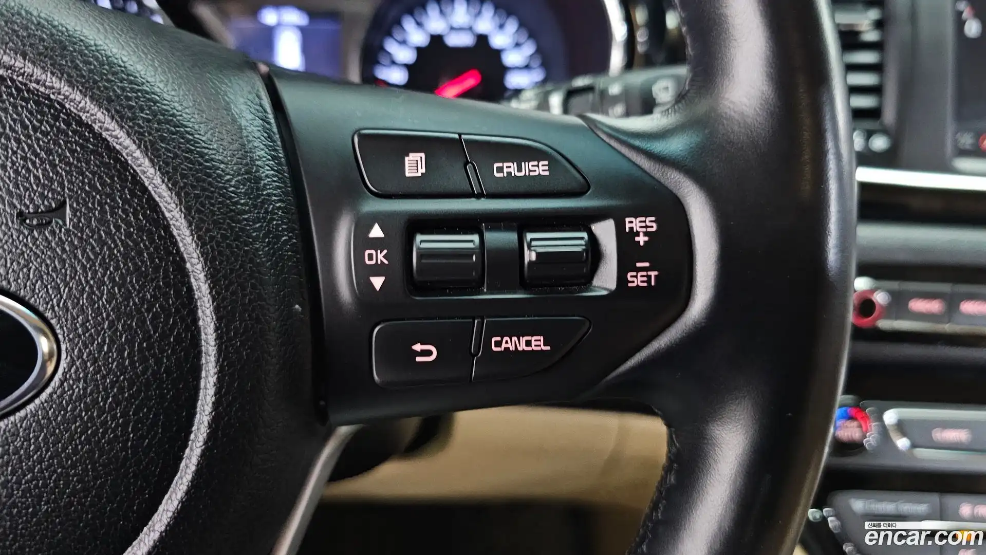Canival Kia 2019.4-OPTION-019