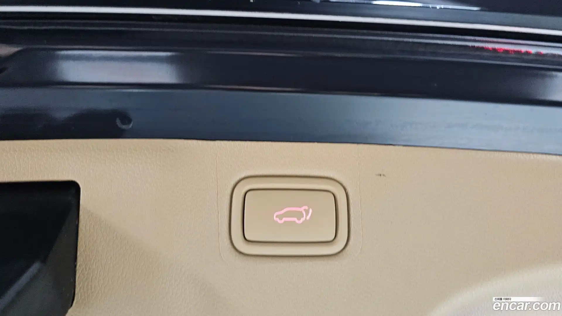 Canival Kia 2019.4-OPTION-020