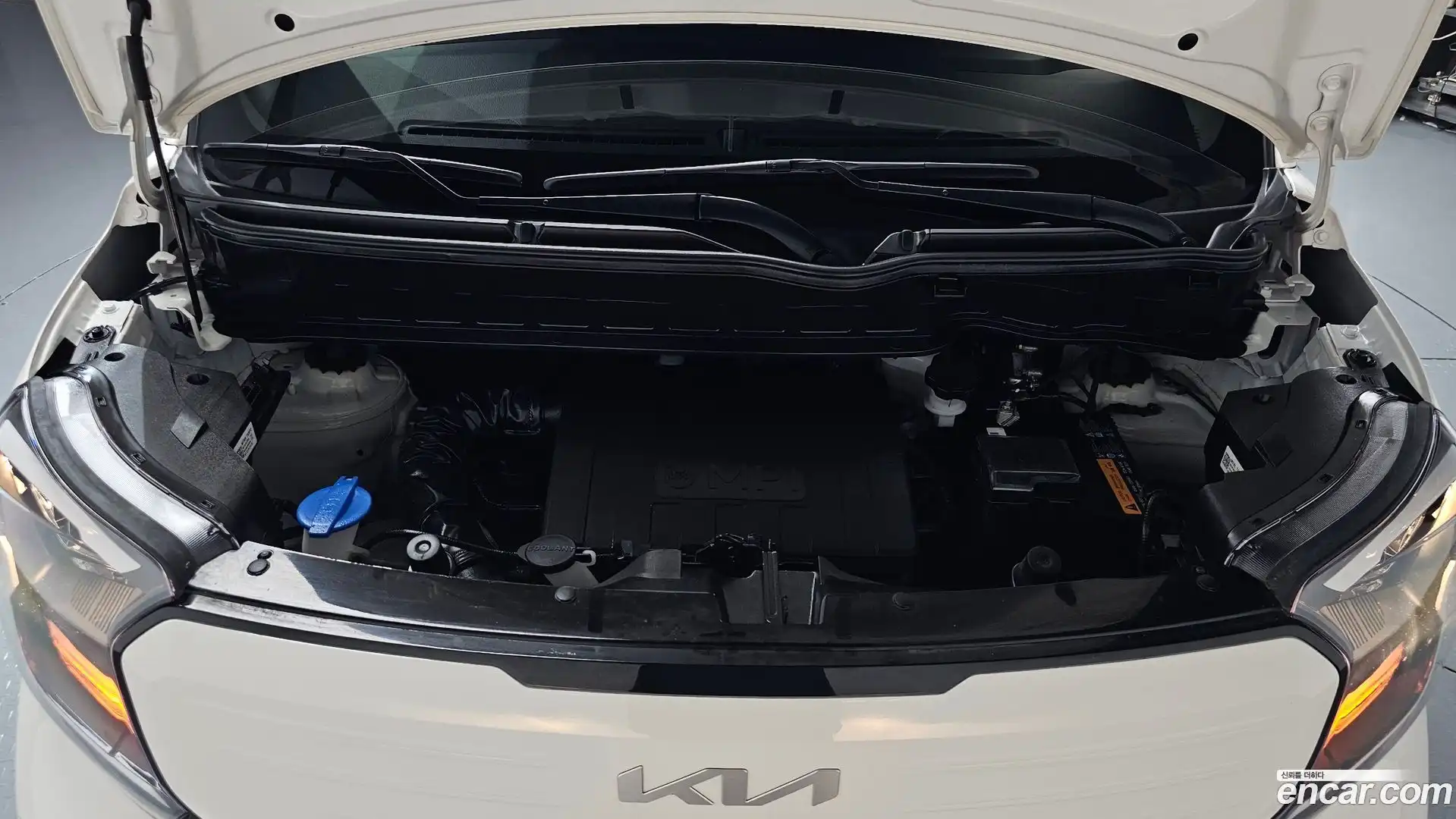 RAY Kia 2024.2-OUTER-006