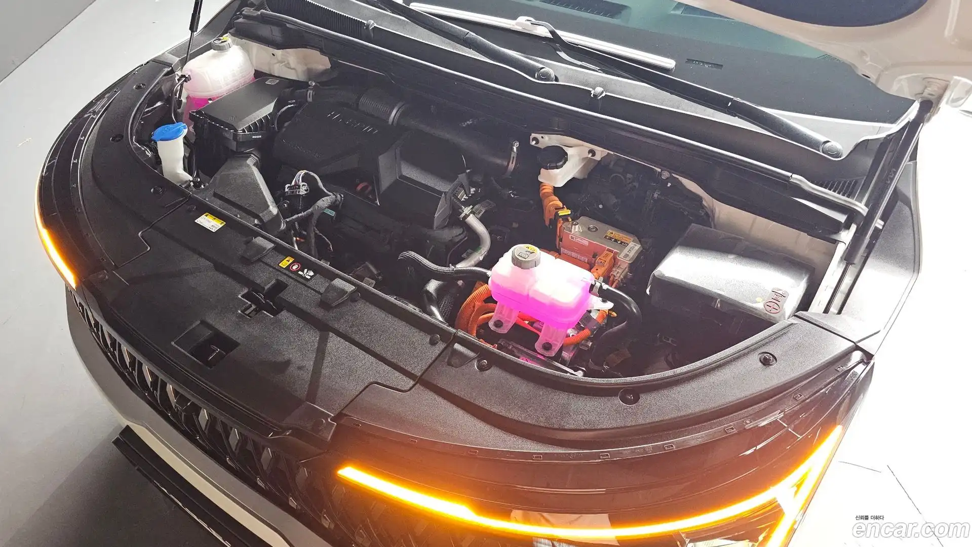 Canival Kia 2025.6-OUTER-006