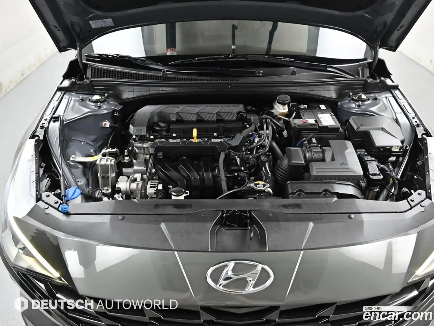 AVANTE Hyundai 2022.4-OUTER-006