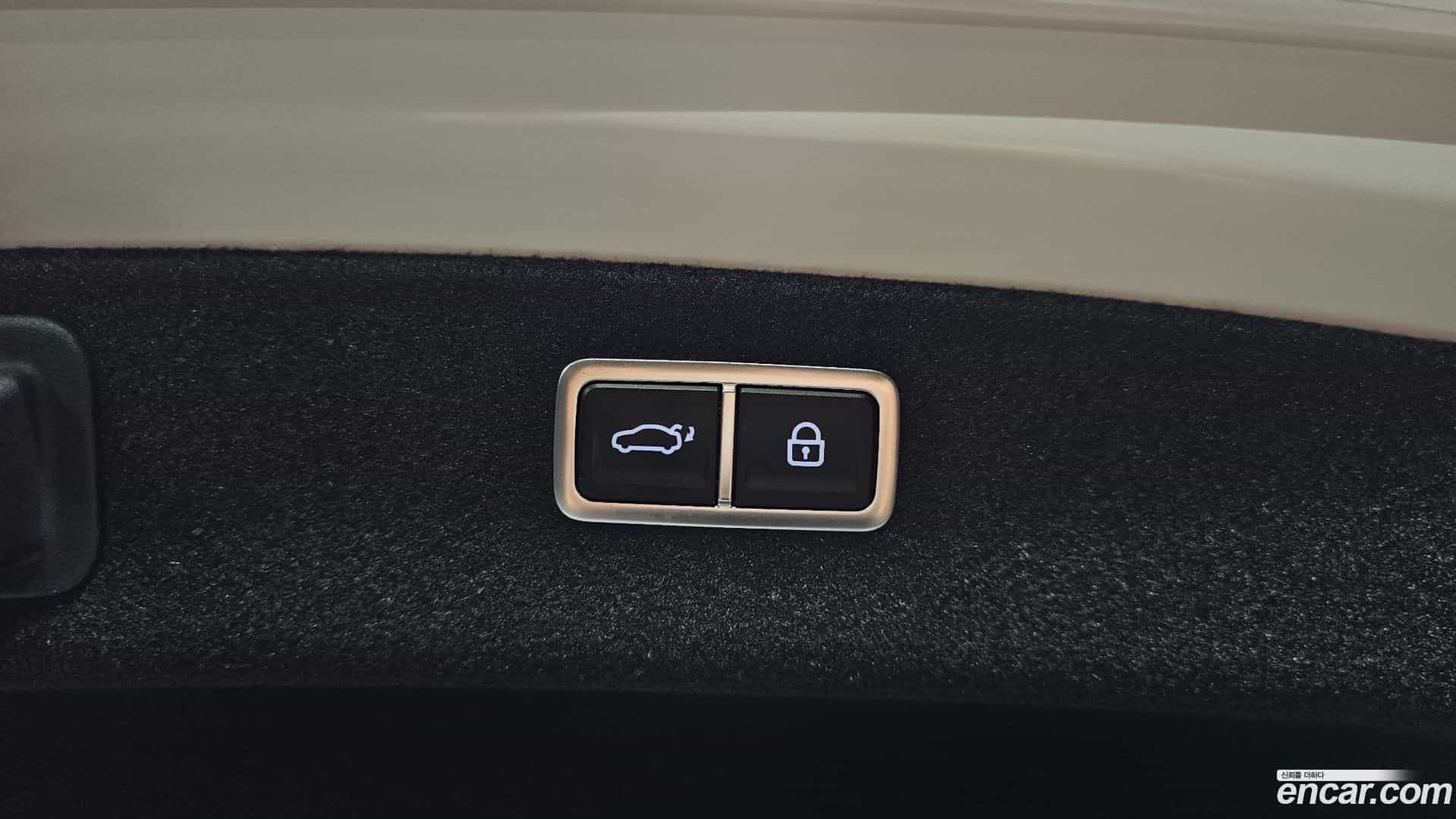 G80 Genesis 2023.0-OPTION-024