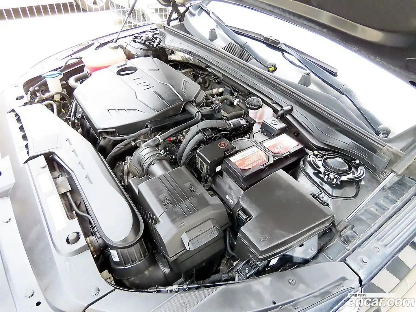 K5 Kia 2024.6-OPTION-023