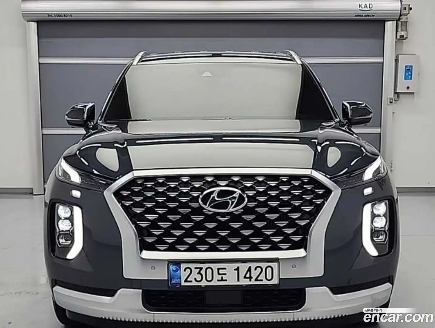Palisade Hyundai 2020.6-OUTER-002