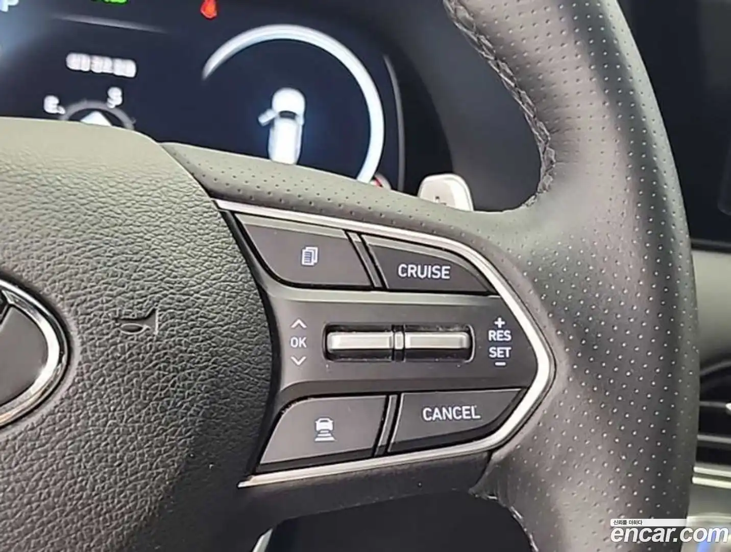 Palisade Hyundai 2020.6-OPTION-021