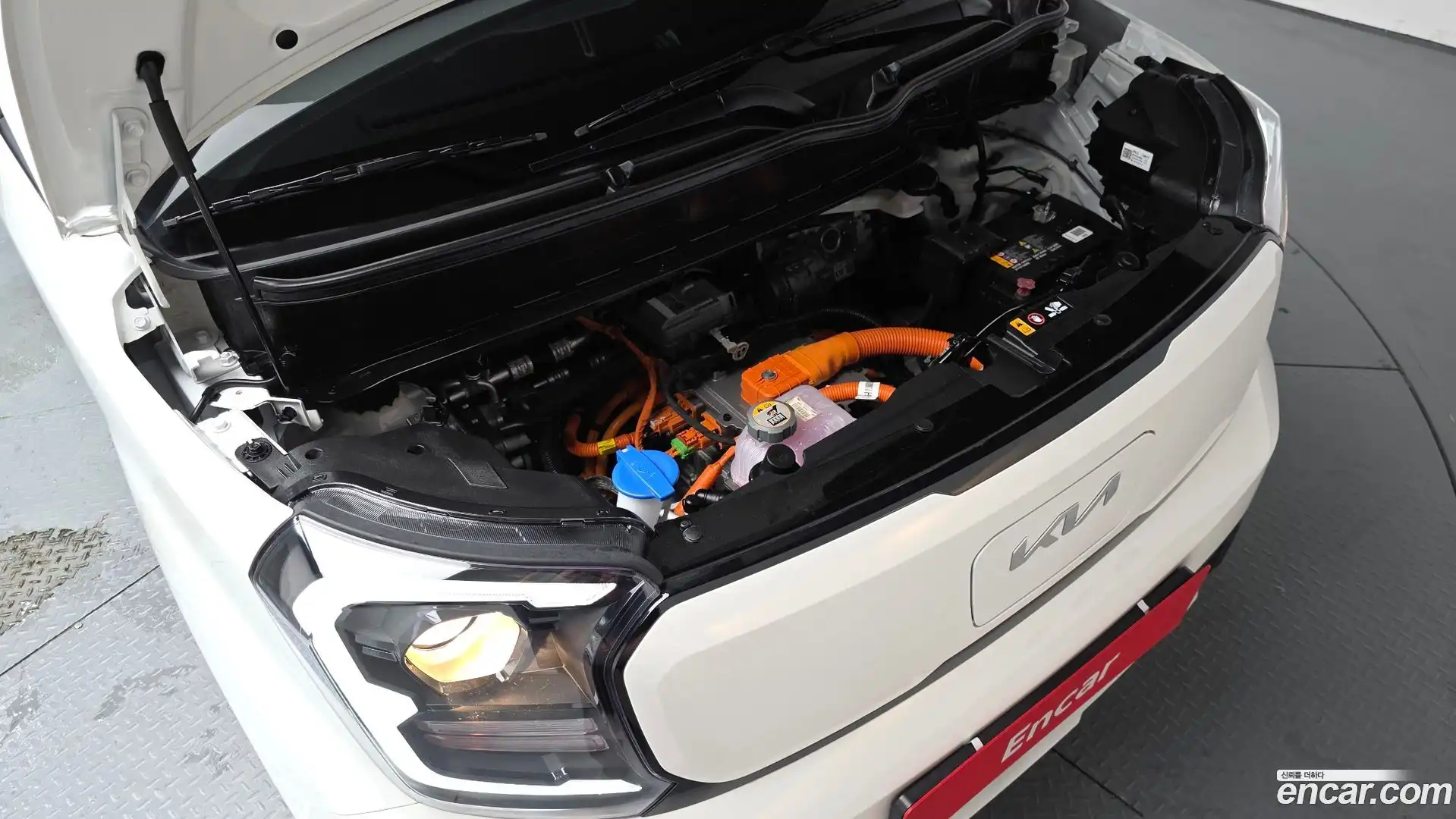 RAY Kia 2024.6-OUTER-006