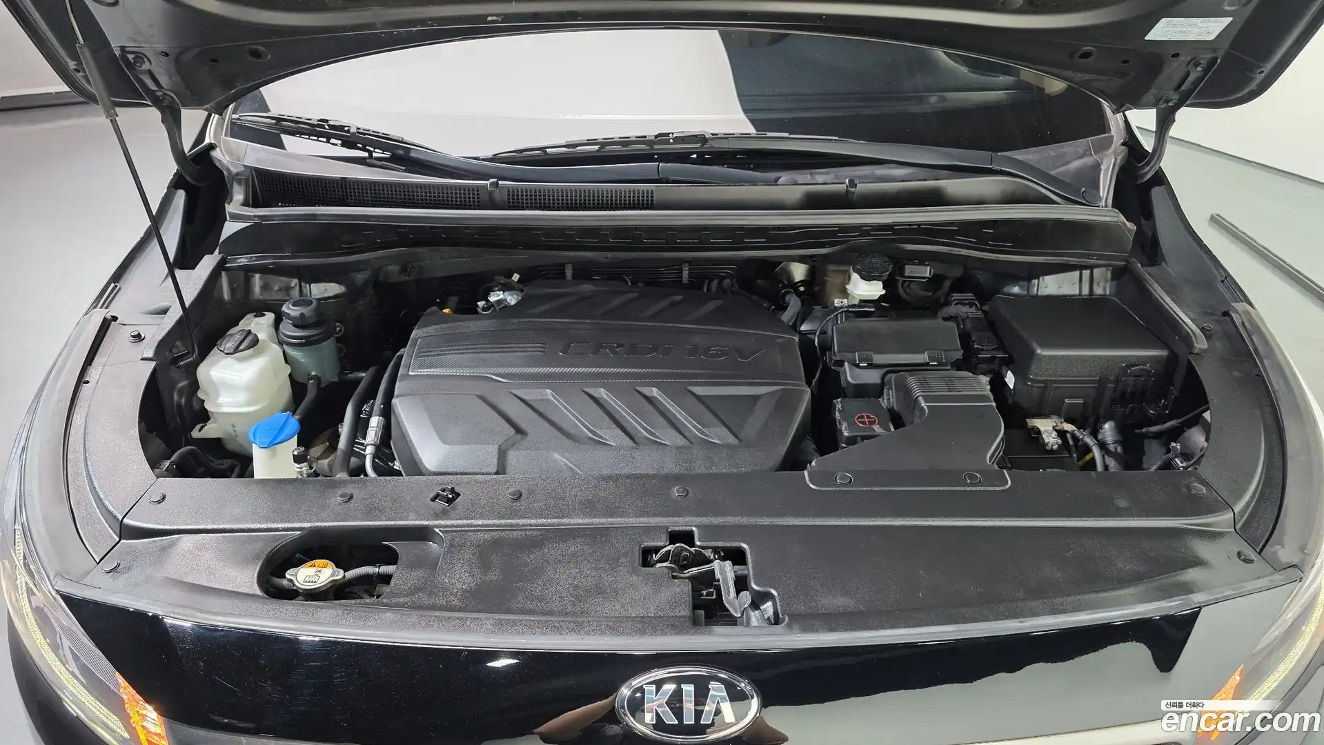Canival Kia 2019.4-OUTER-006