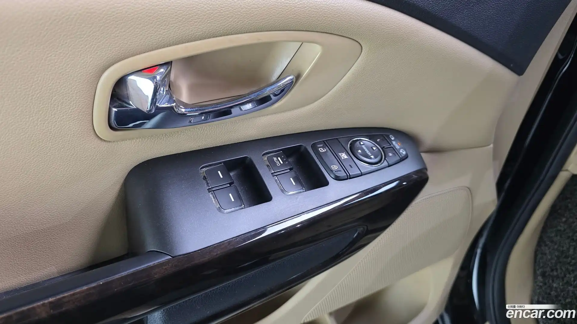 Canival Kia 2019.4-OPTION-021