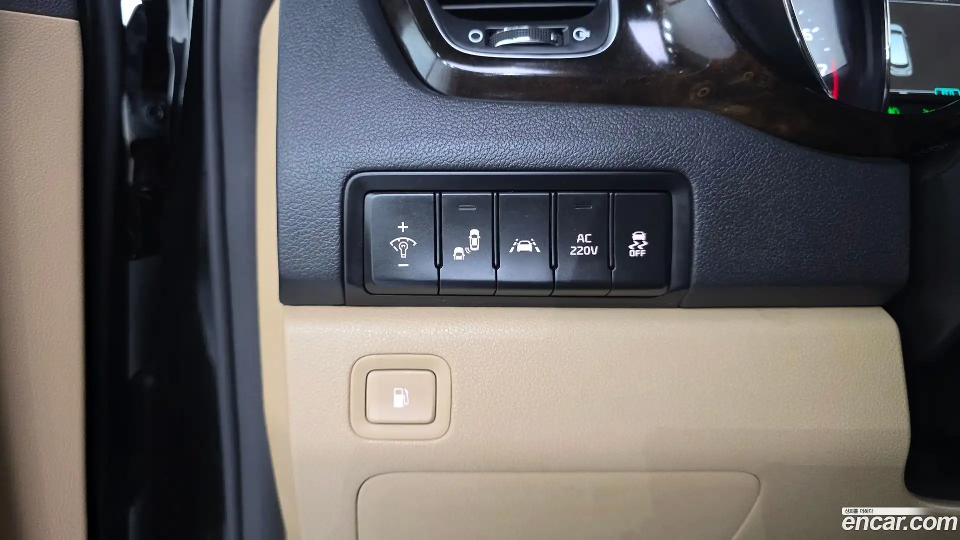 Canival Kia 2018.9-OPTION-016