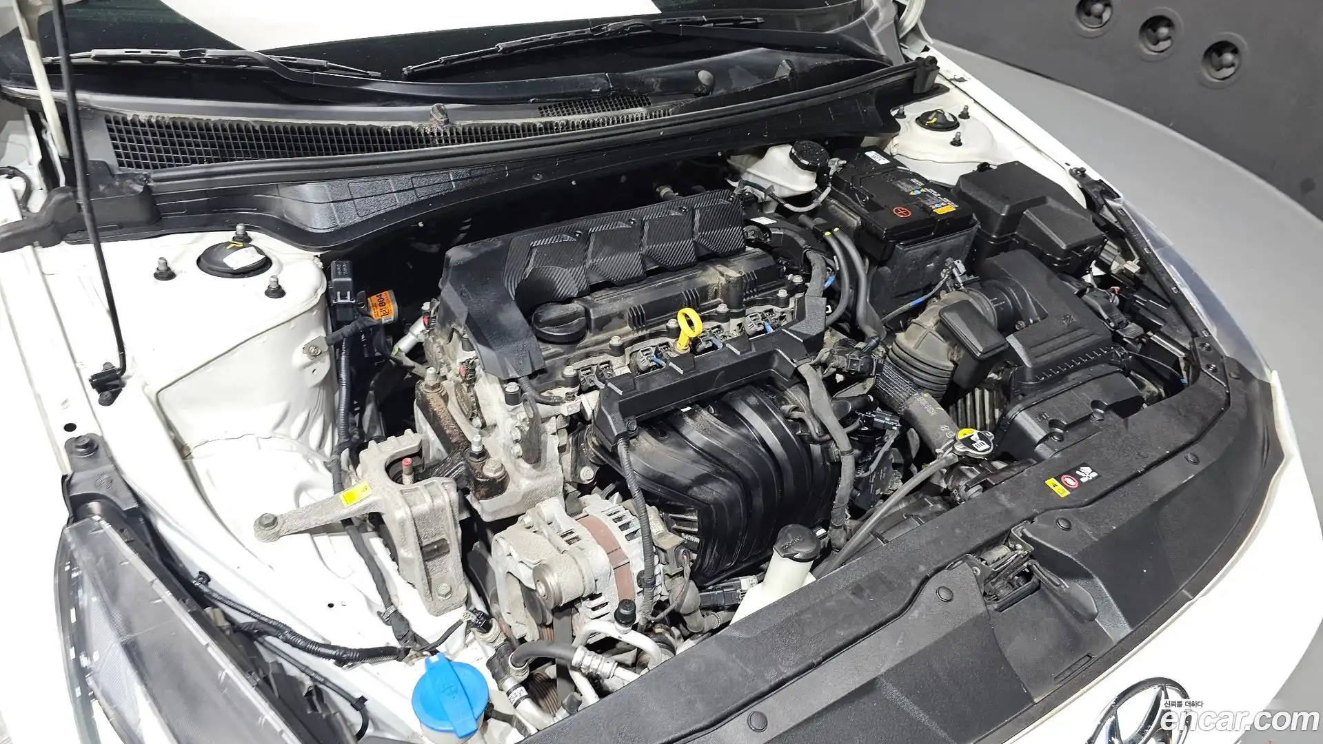 AVANTE Hyundai 2022.4-OUTER-006