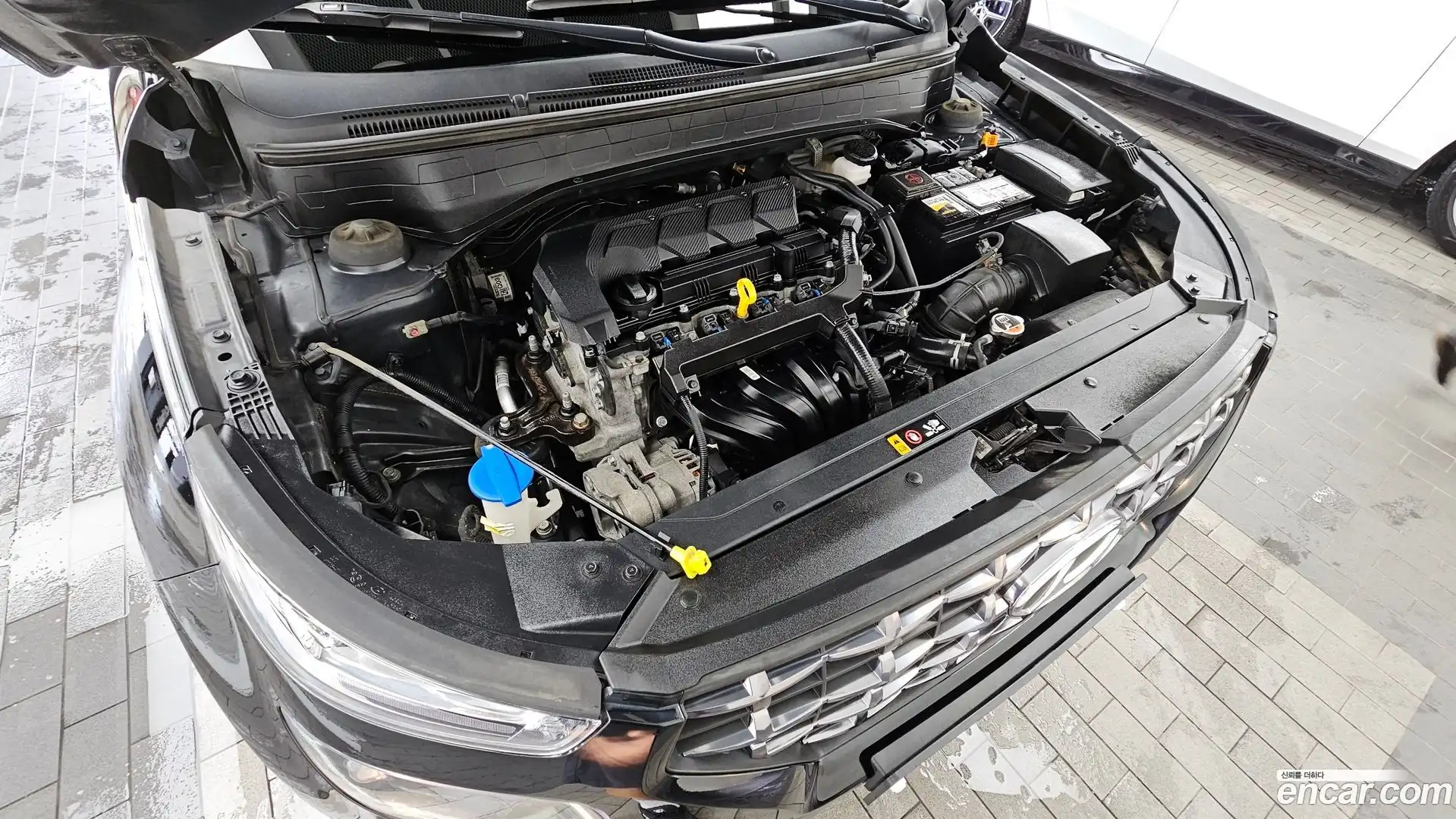 Venue Hyundai 2019.10-OUTER-006