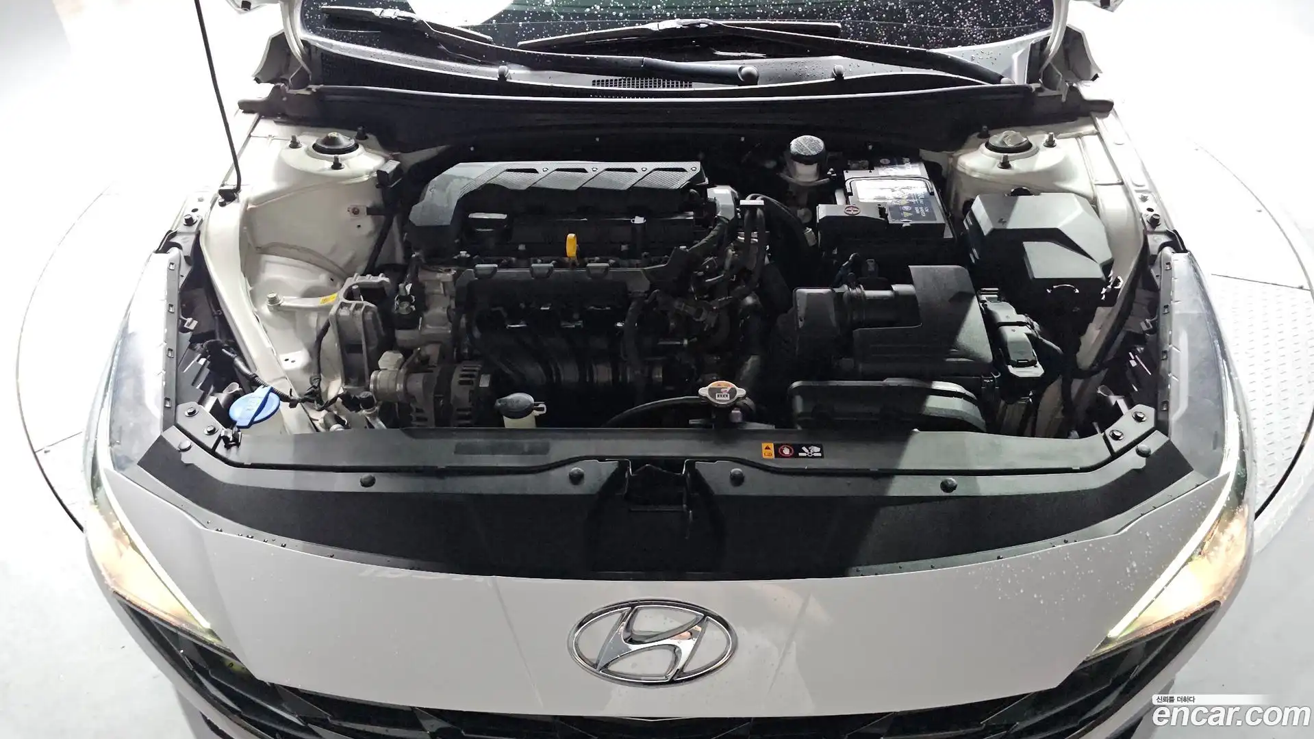 AVANTE Hyundai 2021.1-OUTER-006