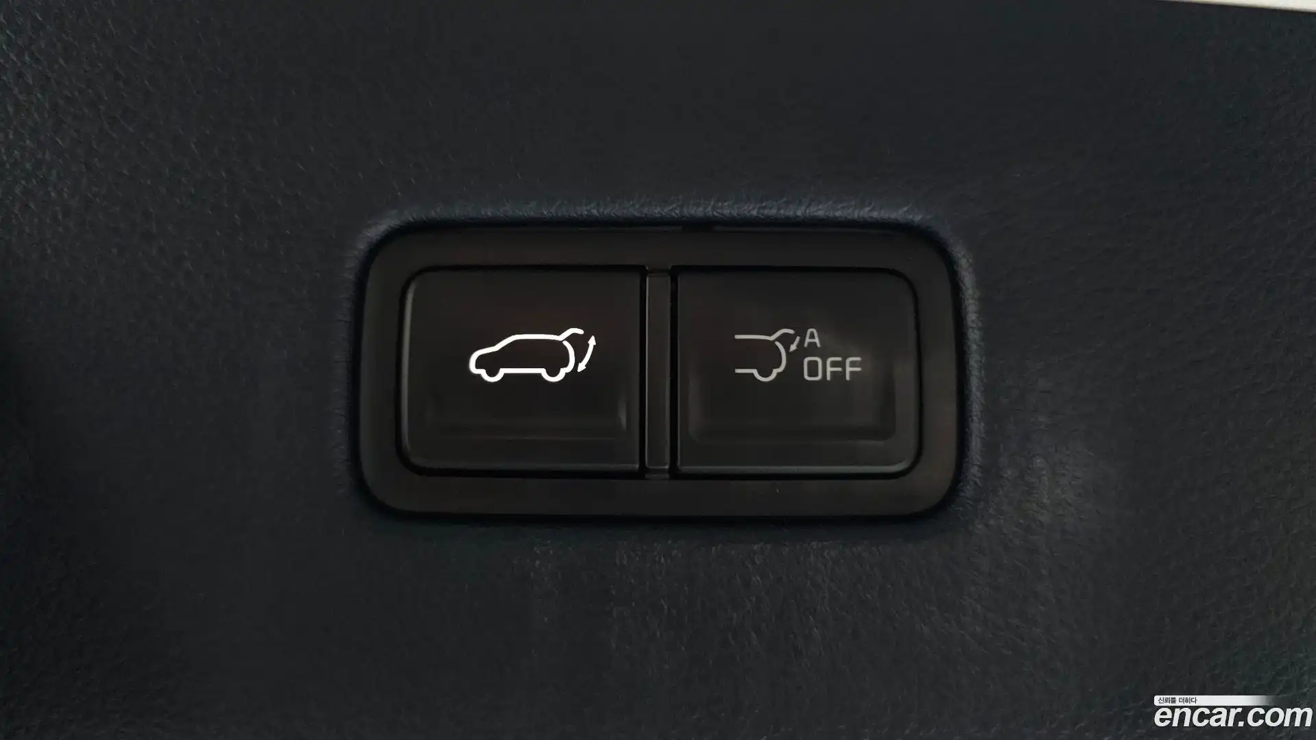 Canival Kia 2024.10-OPTION-021