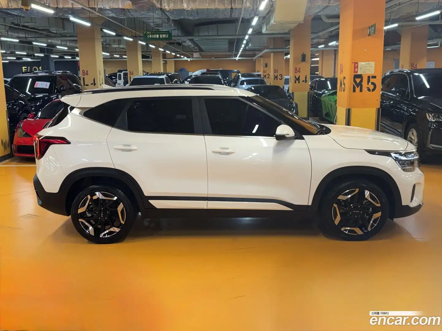 Seltos Kia 2025.5-OUTER-003