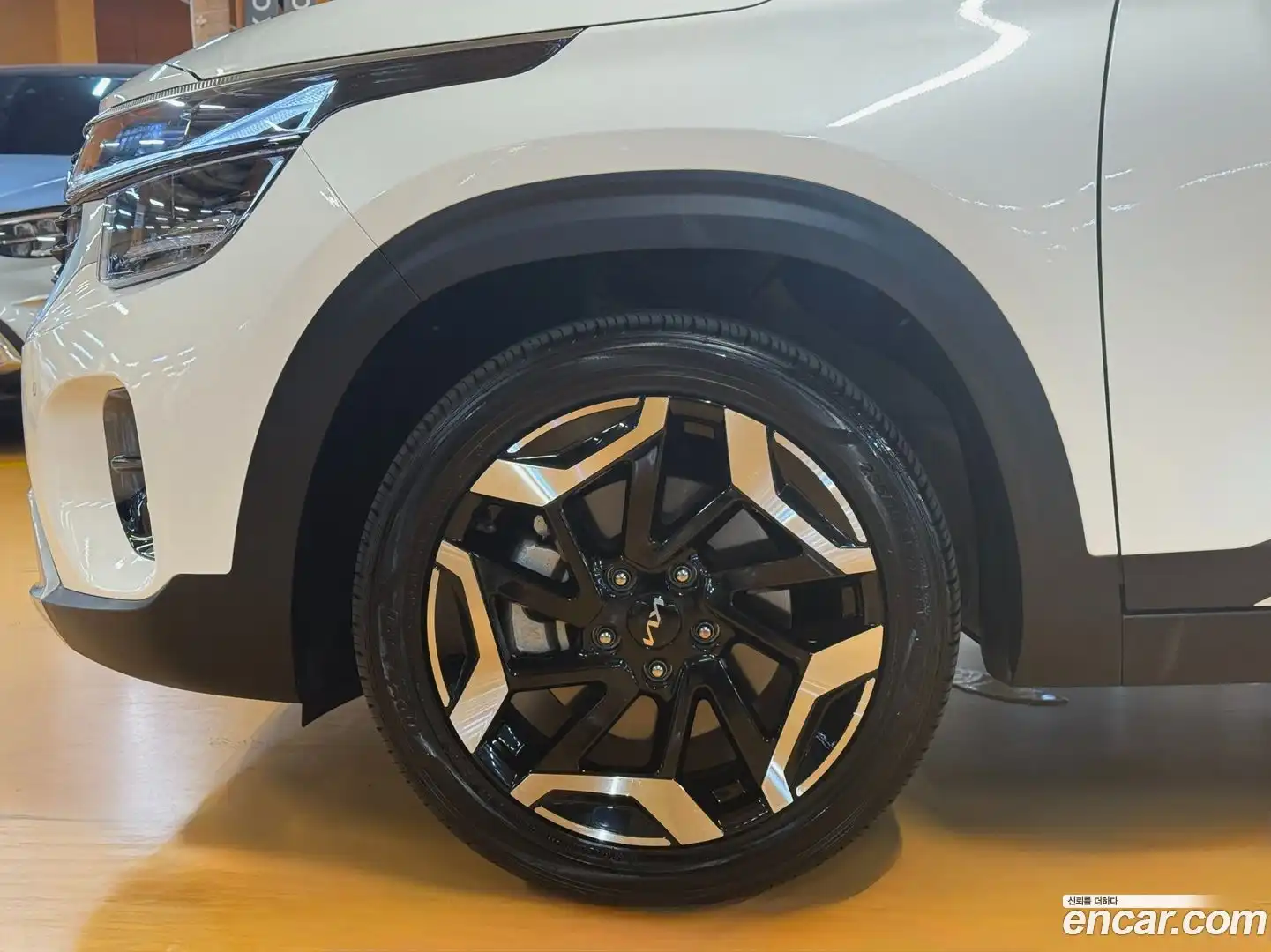 Seltos Kia 2025.5-OUTER-005